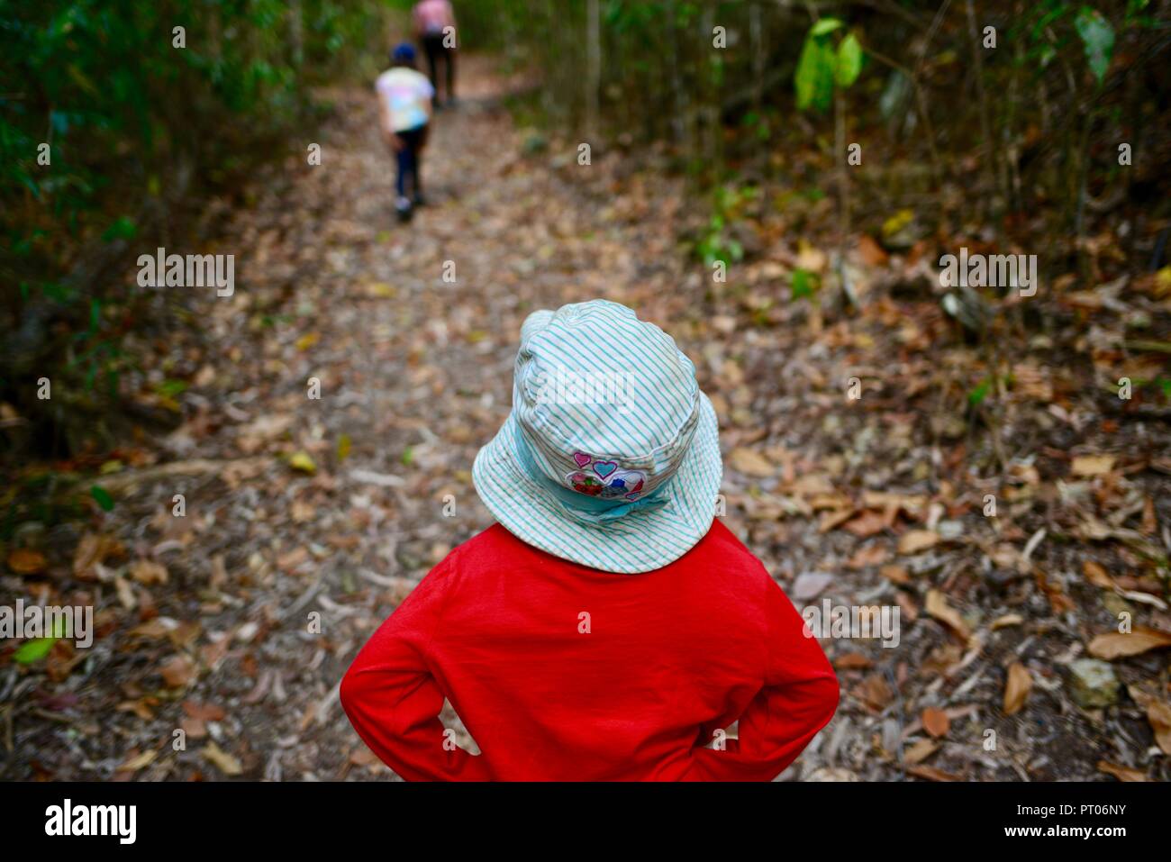 Kinder zu Fuß durch den Wald, Dalrymple Lücke, QLD, Australien Stockfoto