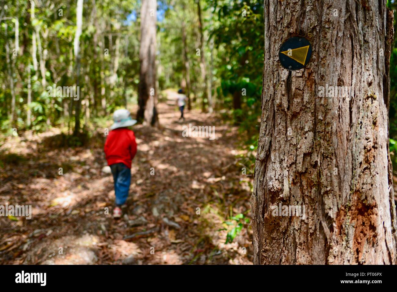 Kinder zu Fuß durch den Wald, Dalrymple Lücke, QLD, Australien Stockfoto