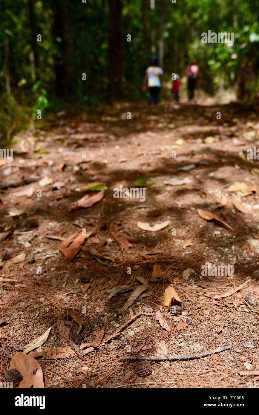 Mutter und Töchter Spaziergang entlang der Dalrymple Lücke Walking Track, QLD, Australien Stockfoto