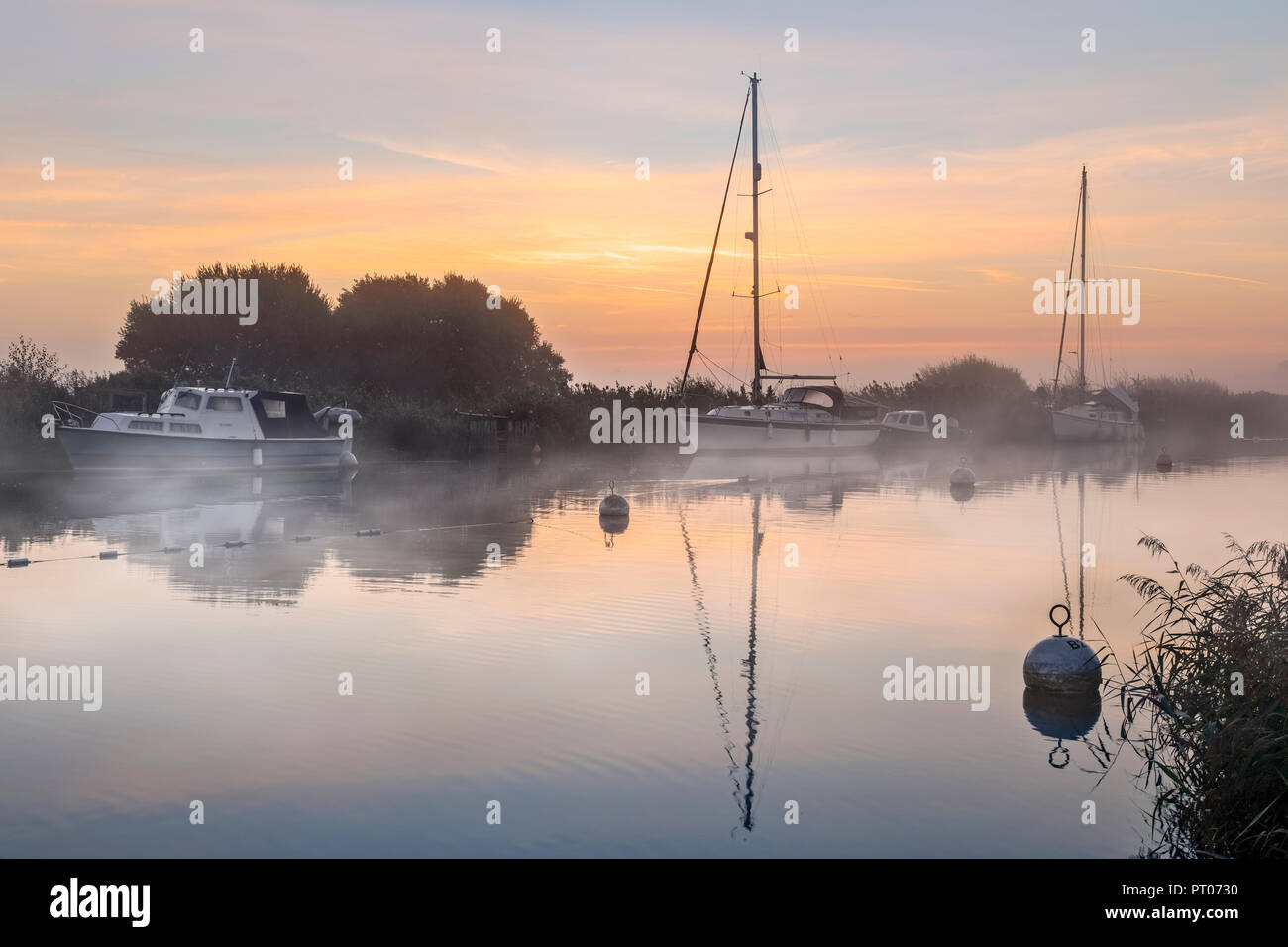 Wareham, Purbeck, Dorset, England, Vereinigtes Königreich Stockfoto