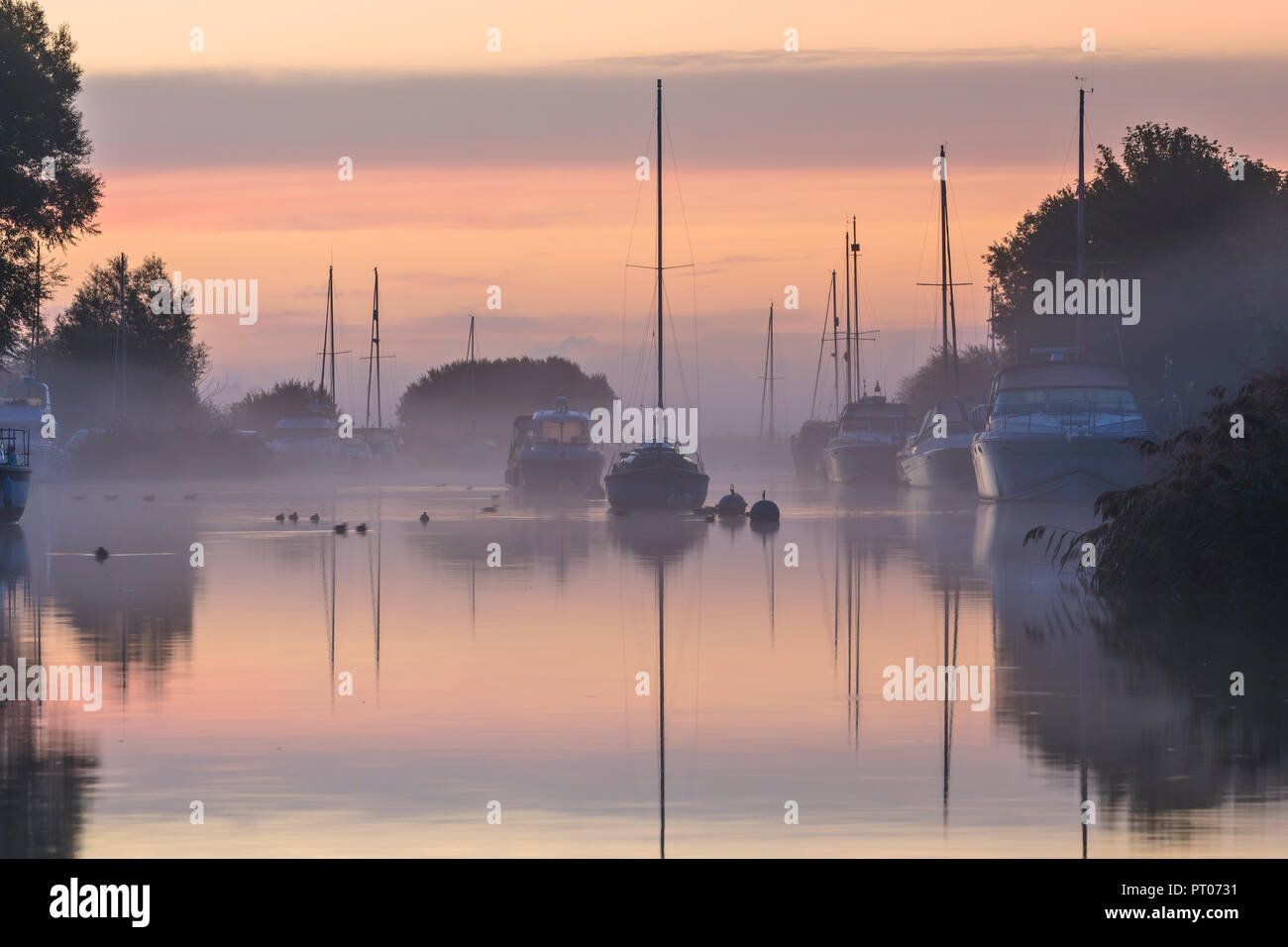 Wareham, Purbeck, Dorset, England, Vereinigtes Königreich Stockfoto