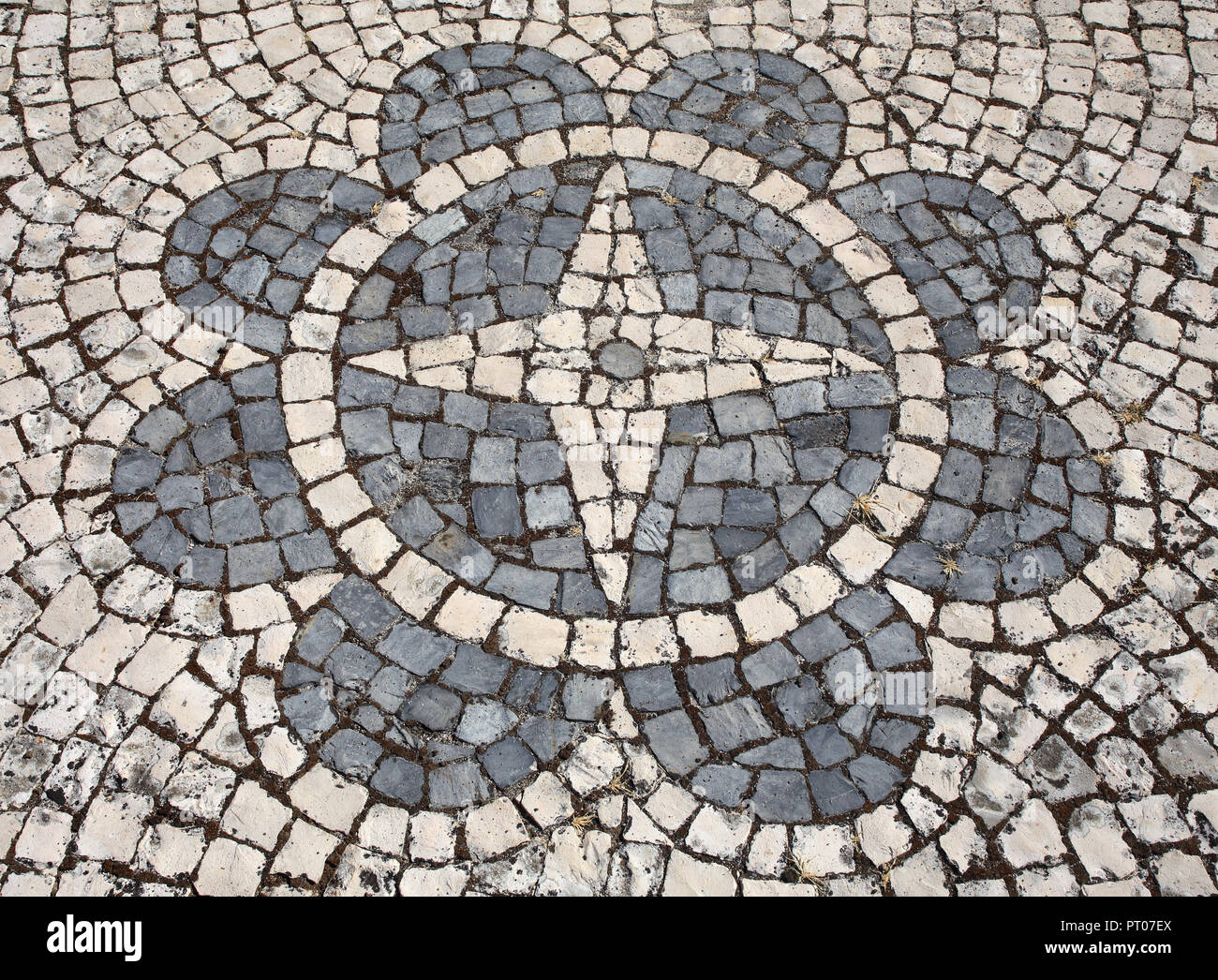 Typische Schwarze und Weiße, Portugiesisch' Calcada" Mosaik Pflastersteine Kopfsteinpflaster, einem Kompass und einer Flora Design. Lissabon, Portugal. Stockfoto