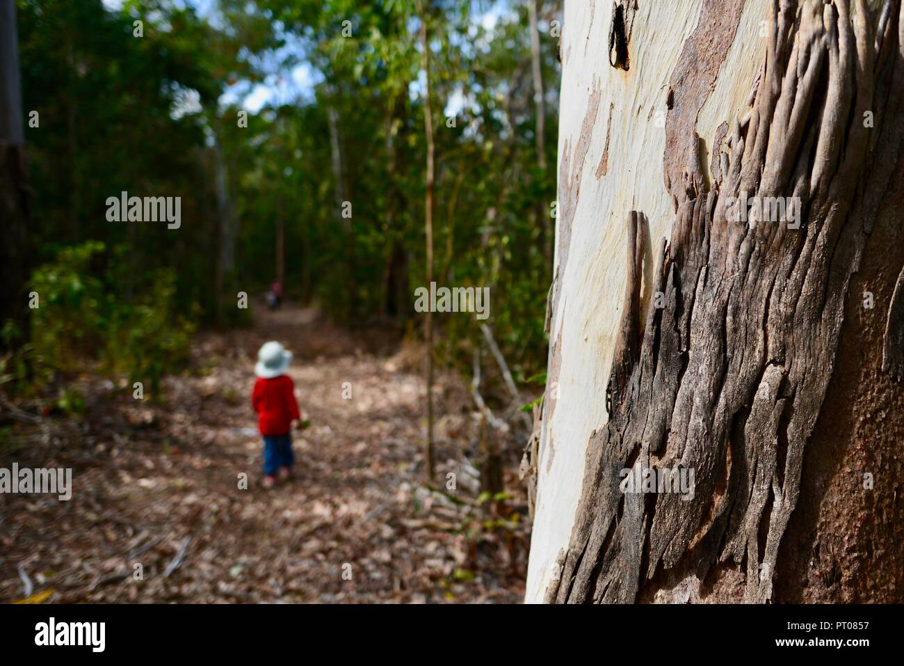 Ein Kind das Tragen der roten gehen durch einen Wald, Dalrymple Lücke, QLD, Australien Stockfoto