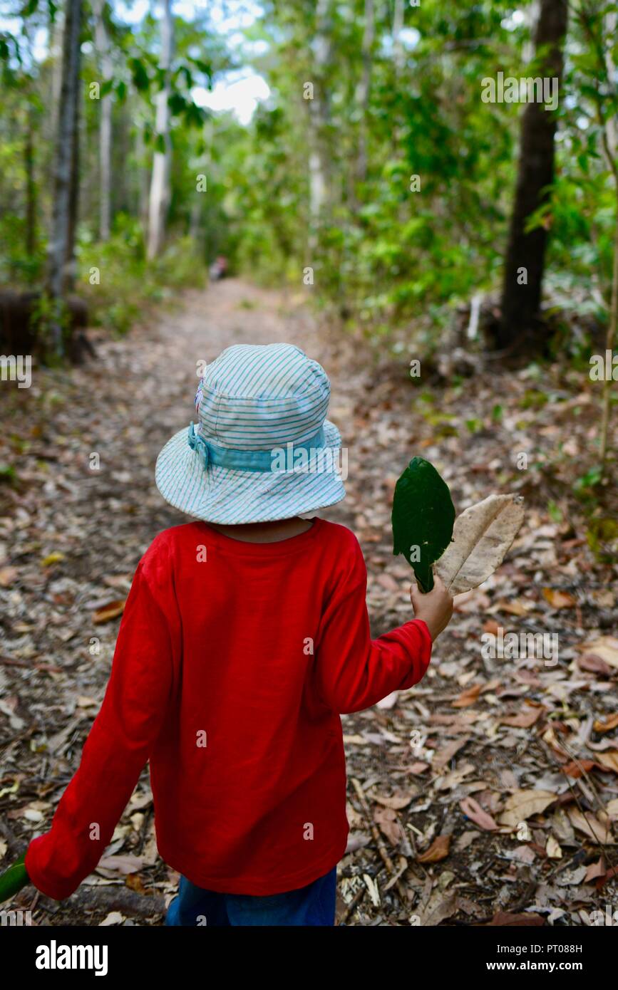 Ein Kind das Tragen der roten gehen durch einen Wald, Dalrymple Lücke, QLD, Australien Stockfoto