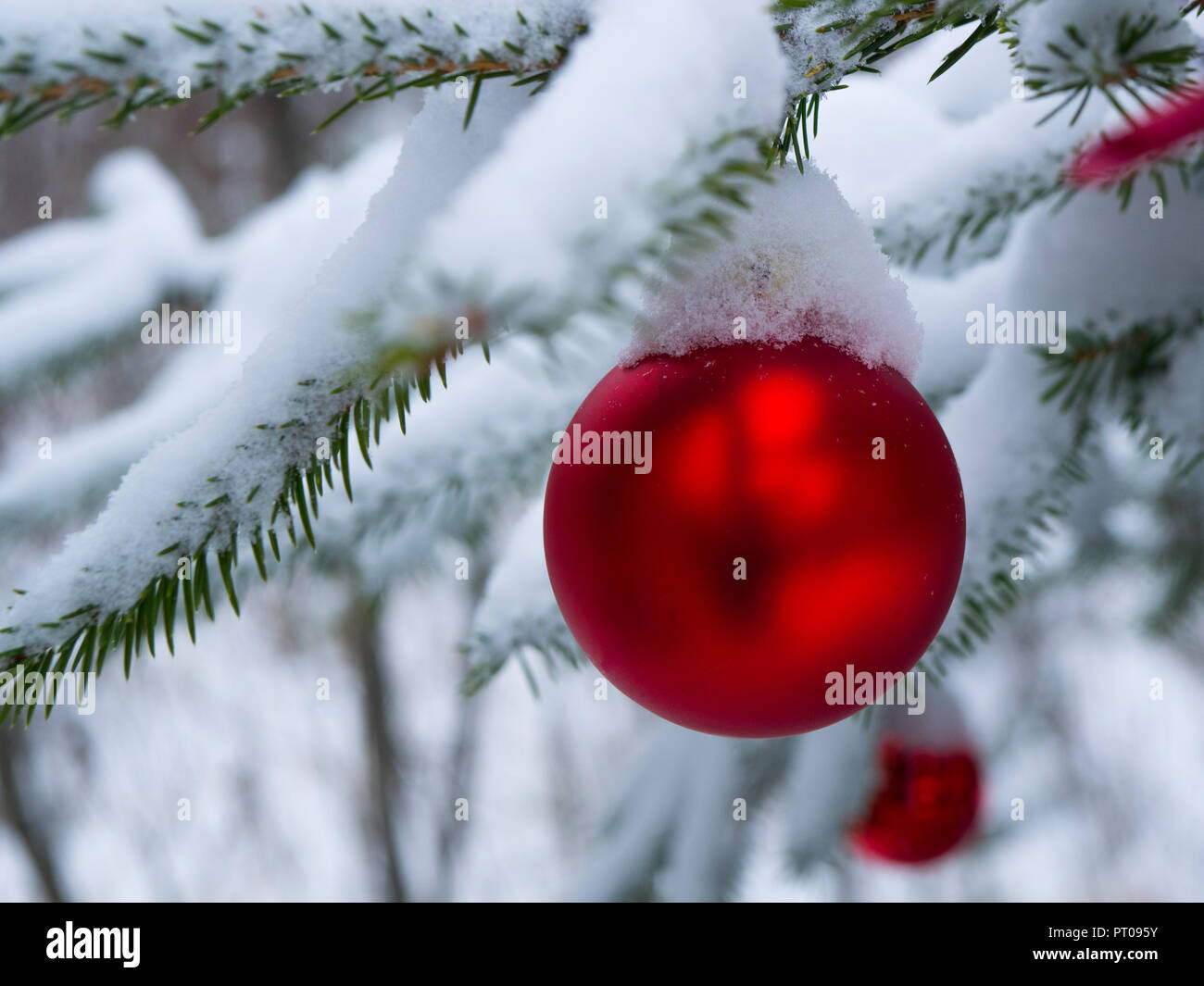 Schnee Weihnachten Lampen außerhalb hängend Stockfoto