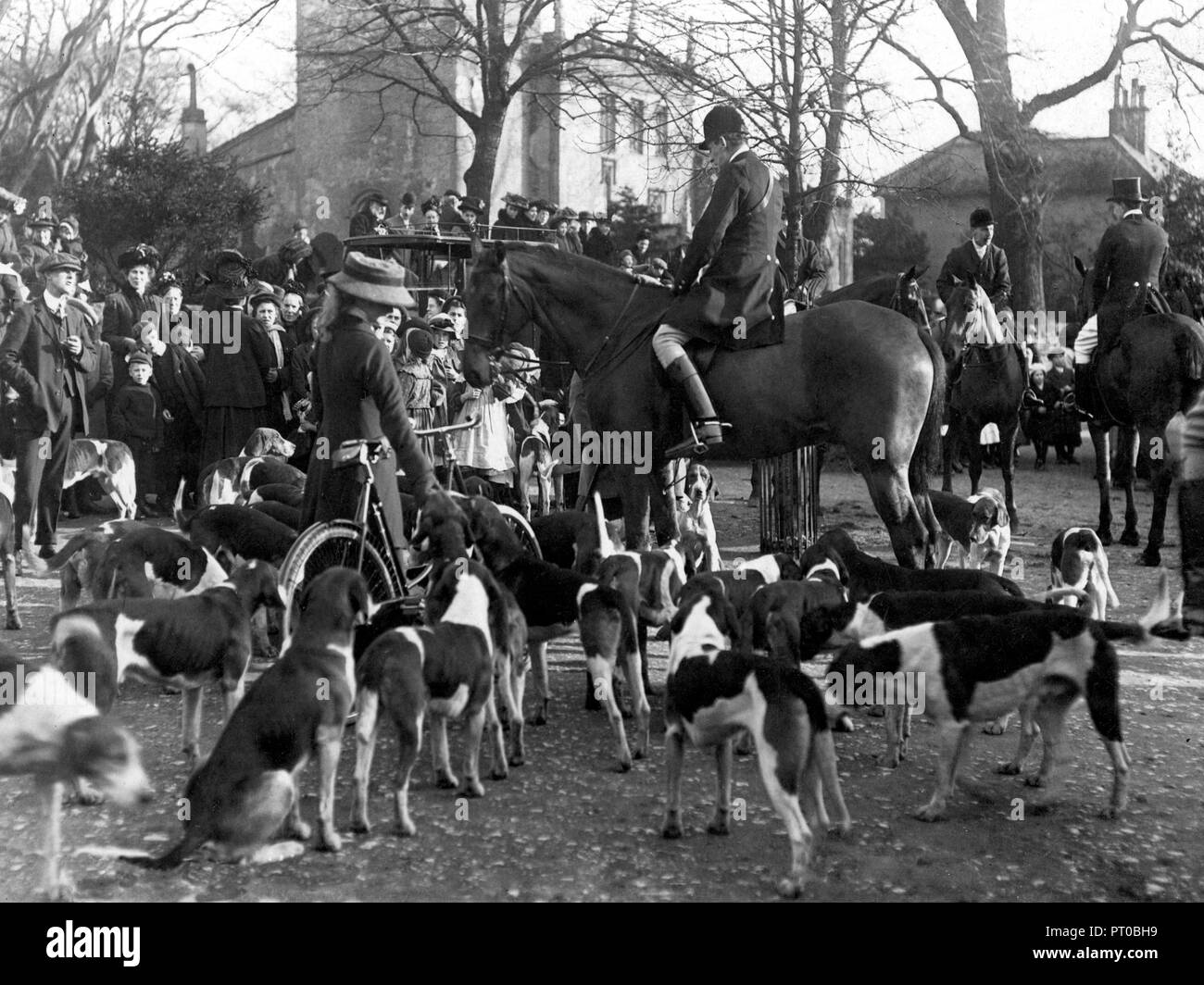 Fitzwilliam Jagdhunde, Everton 30. Januar 1911 Stockfoto