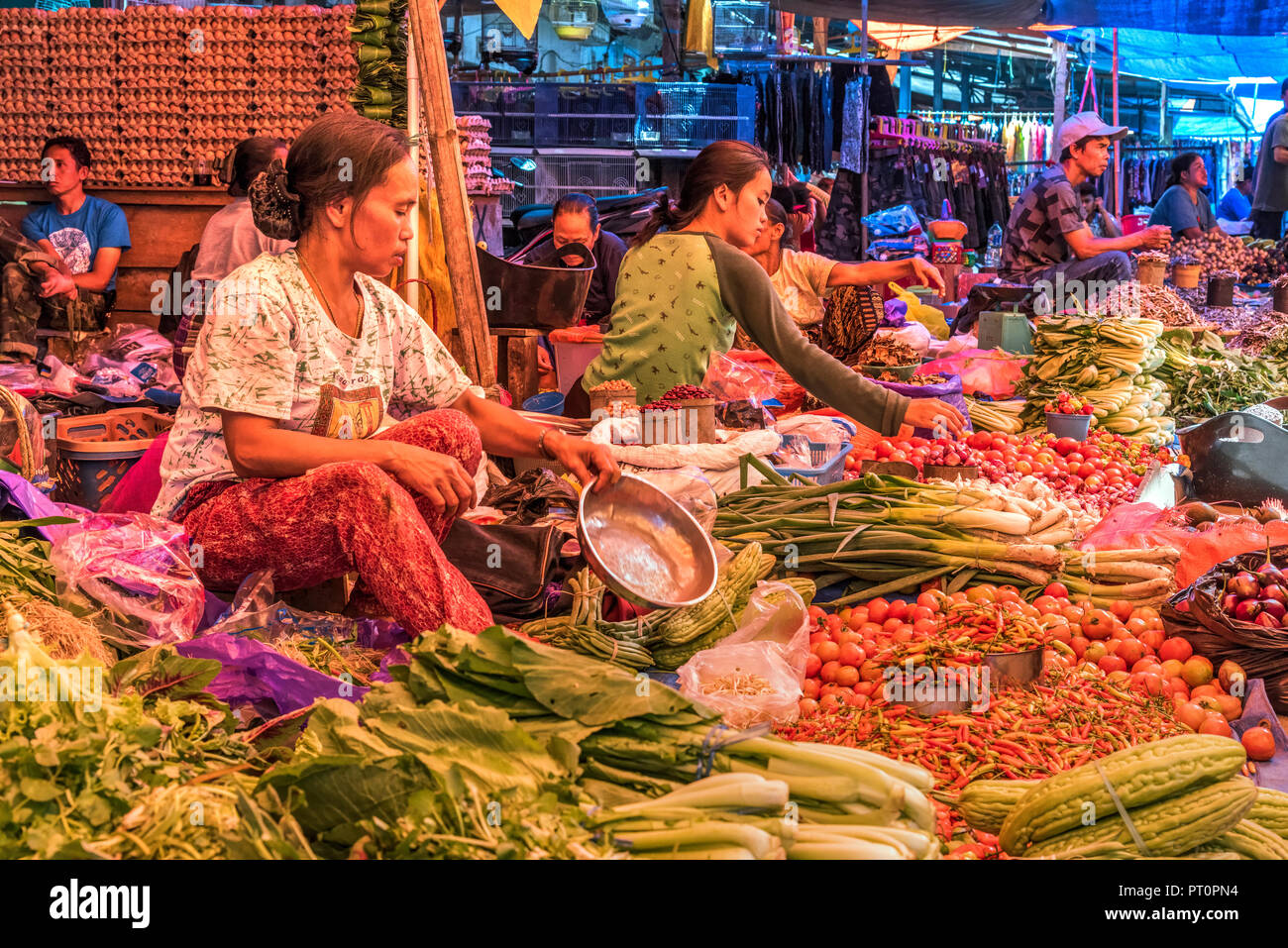 Pasar Bolu Markt, Rantepao, Tana Toraja, Sulawesi, Indonesien Stockfoto