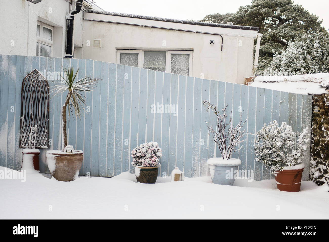 Schnee Szene von einem englischen Garten mit Töpfen und Anlage entlang einer pastellfarbenen Holzzaun. Stockfoto