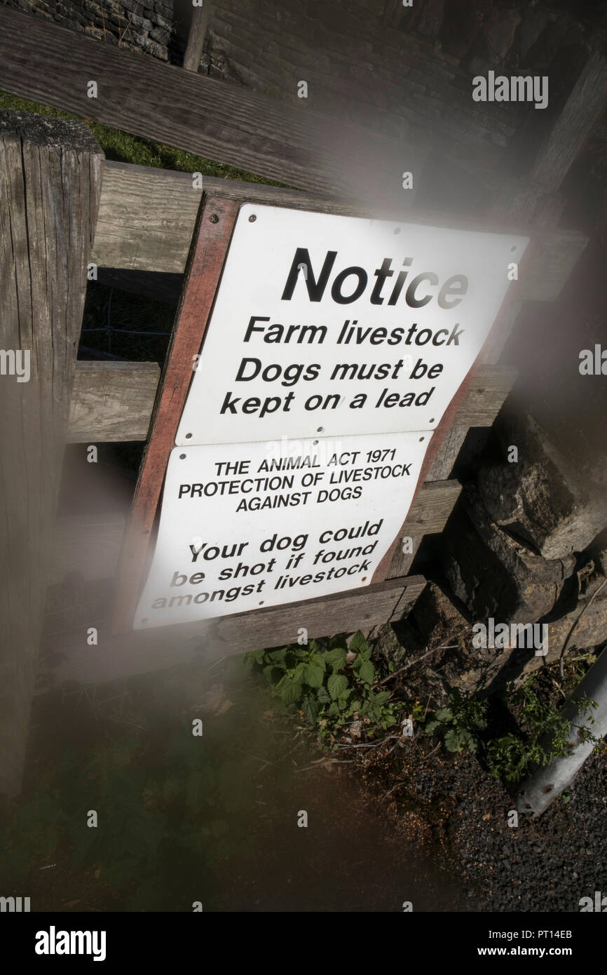 Bekanntmachung über ein Tor: Hunde müssen an der Leine sein. Ihr Hund erschossen wird, wenn unter den Tieren gefunden Stockfoto