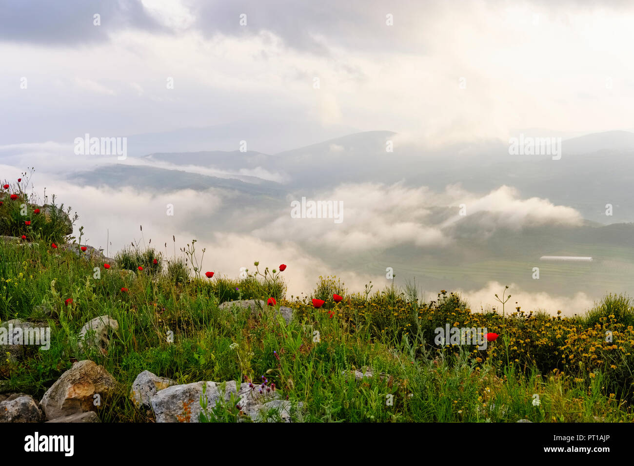 Albanien, Fier County, Ansicht von Byllis, Landschaft und Morgennebel Stockfoto