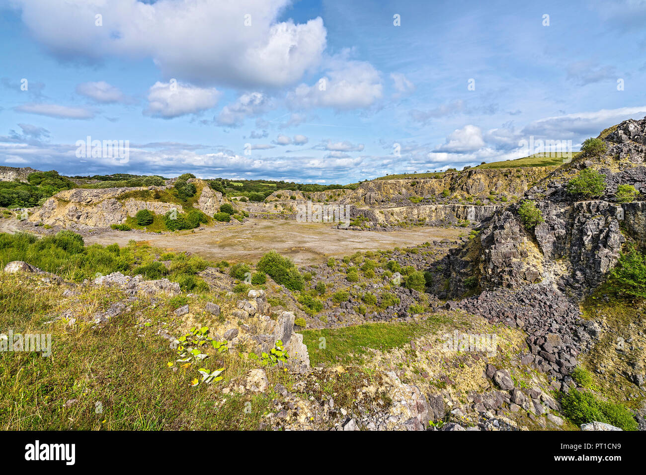 Minera Limeworks Kalksteinbruch jetzt ein North Wales Wildlife Trust finden in der Nähe von Minera West Wrexham North Wales UK August Stockfoto