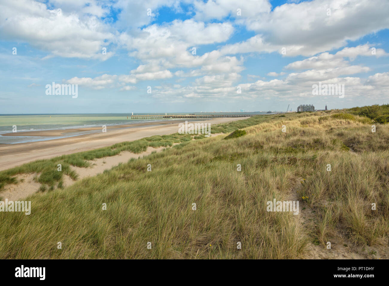 Dünen und Strand in der Nähe von Blankenberge ein De Haan, Belgische Nordsee Küste Stockfoto