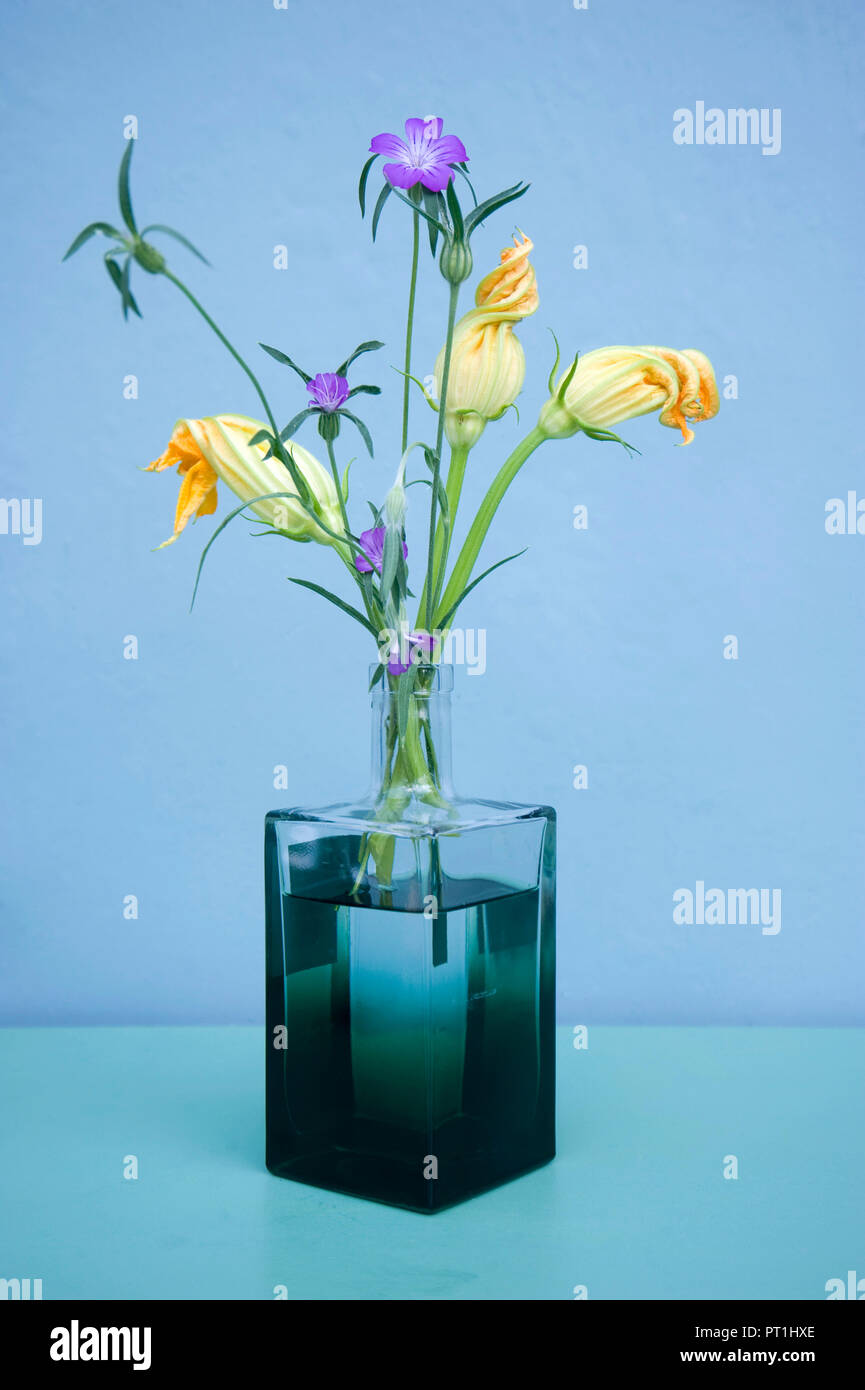 Zucchiniblüten und Corncockle in einem Gin Flasche Stockfoto