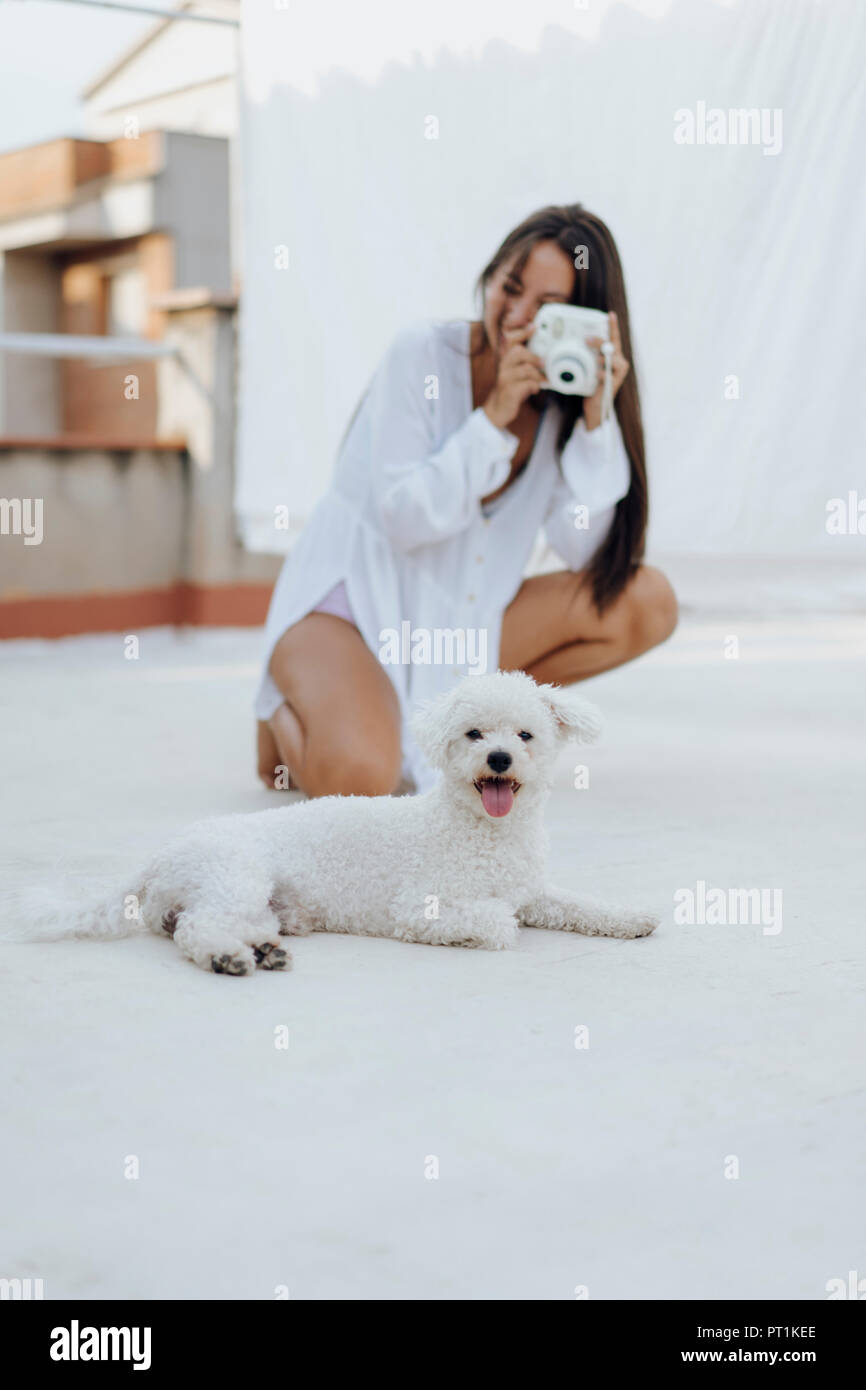 Portrait von weißen Hund liegend auf der Dachterrasse während junge Frau im Hintergrund unter Foto Stockfoto