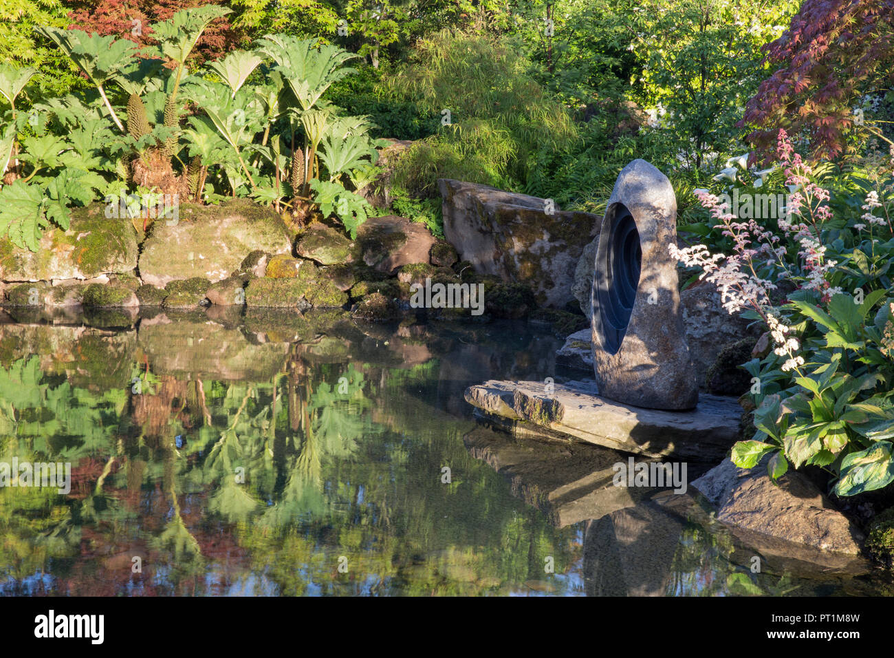 Rodgersia aesculifolia Stockfotos und bilder Kaufen Alamy