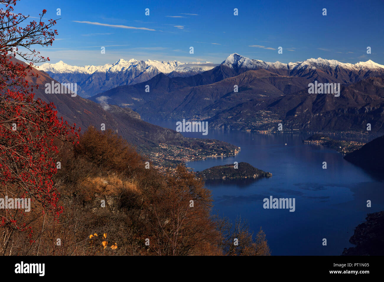 Aussicht auf Como See (Lenno und Bellagio) von Monte Komana, Argegno, Provinz Como, Lombardei, Italien Stockfoto