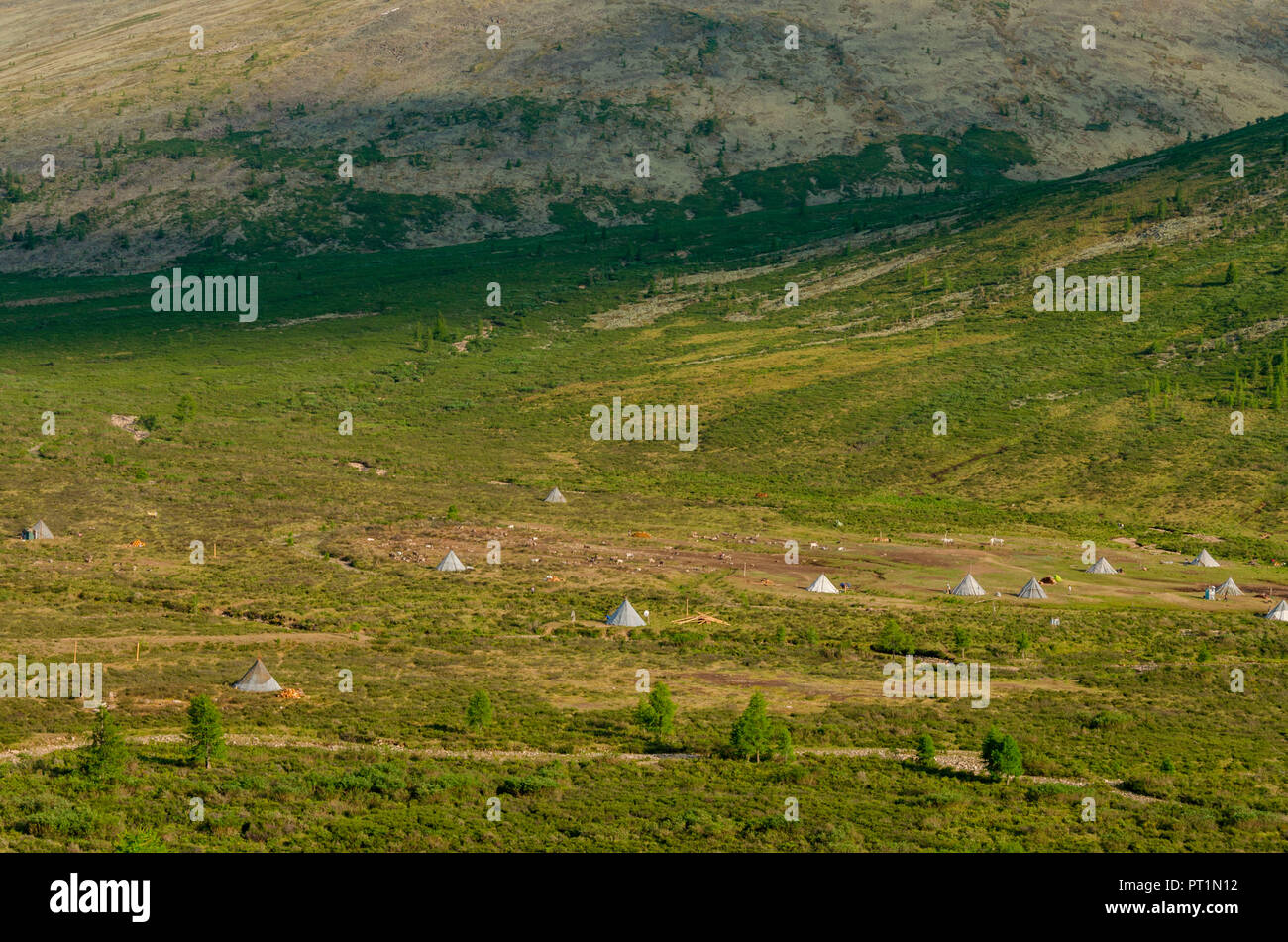 Ein Blick auf die tsaatan Camp, Provinz Hovsgol, nördliche Mongolei, Stockfoto