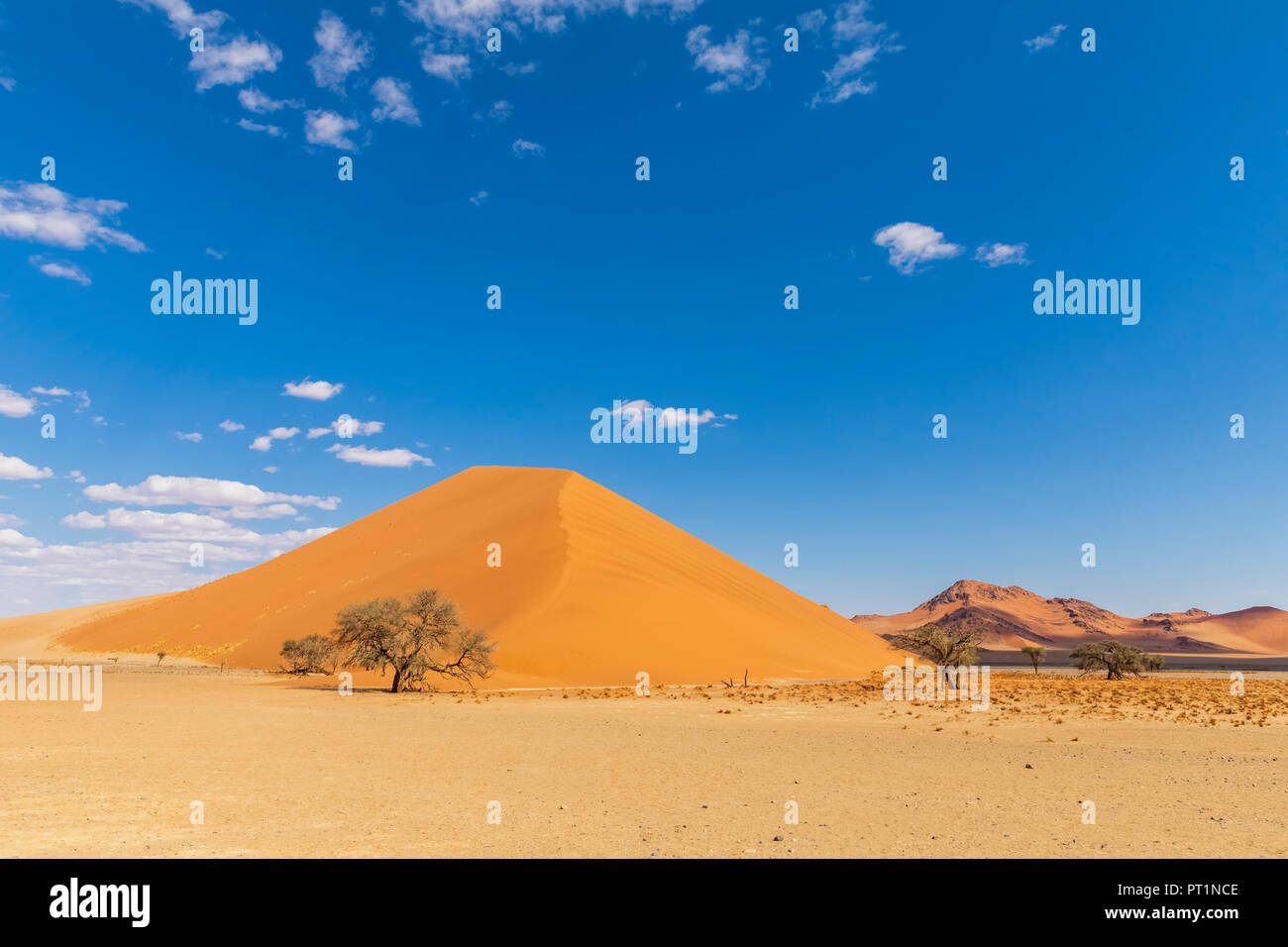 Afrika, Namibia, Namib, Naukluft National Park, Sand dune 40 Stockfoto