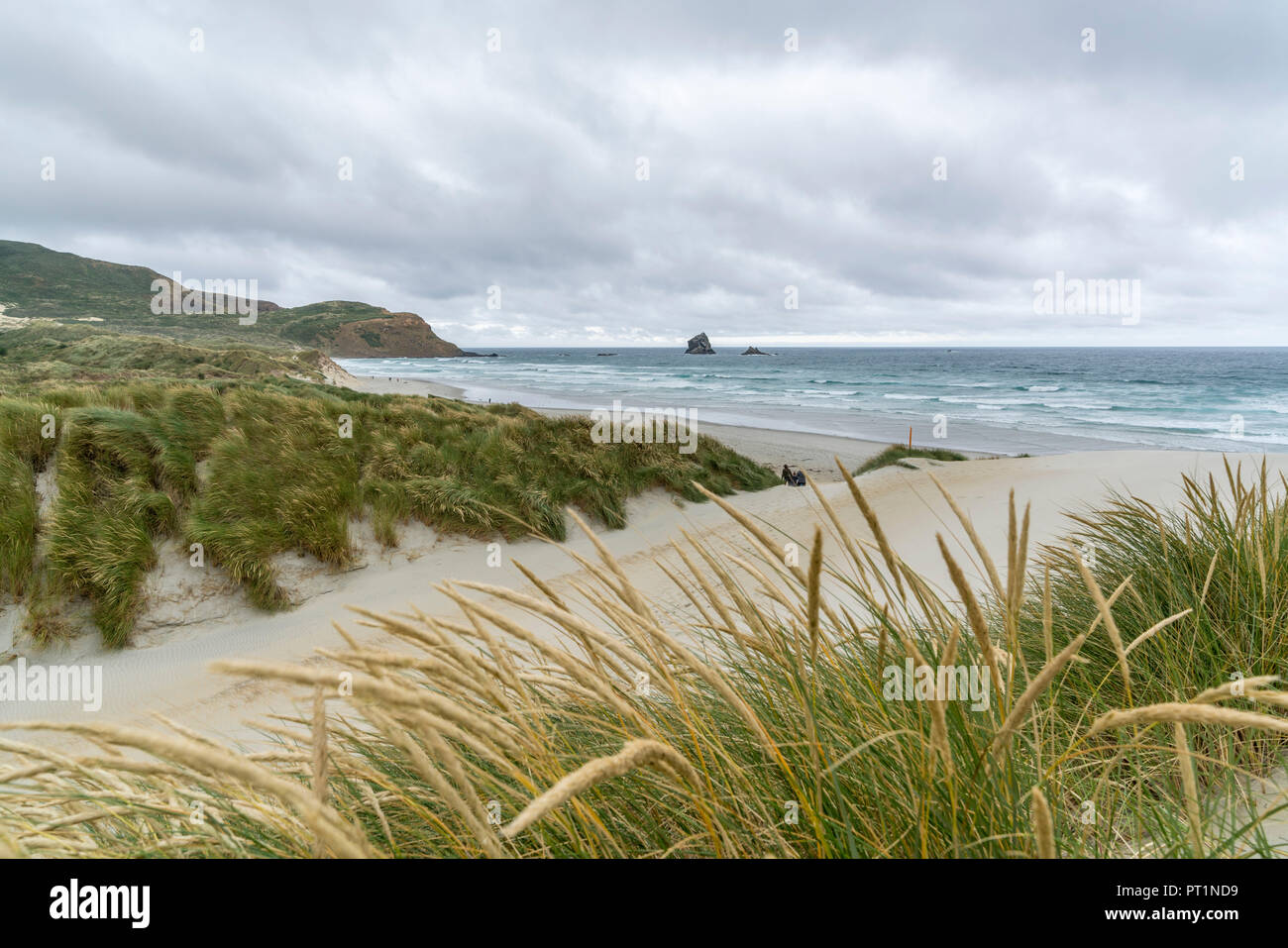 Sandfly Bay an einem bewölkten Sommertag, Dunedin, Otago Region, South Island, Neuseeland, Stockfoto