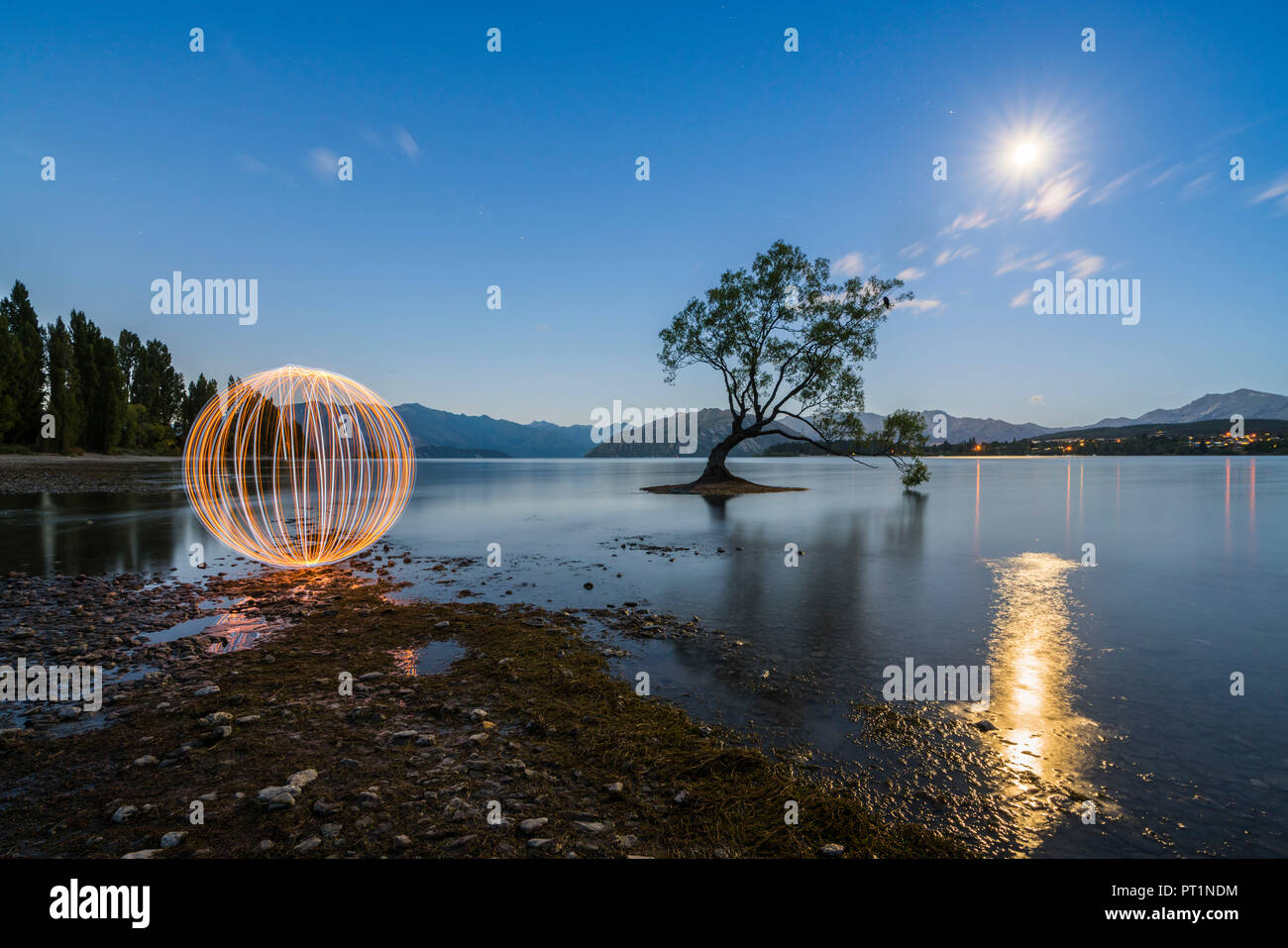 Stahlwolle vor dem einsamen Baum in Lake Wanaka unter dem Mondschein in der Dämmerung, Wanaka, Queenstown Lakes District, Region Otago, Südinsel, Neuseeland, Stockfoto