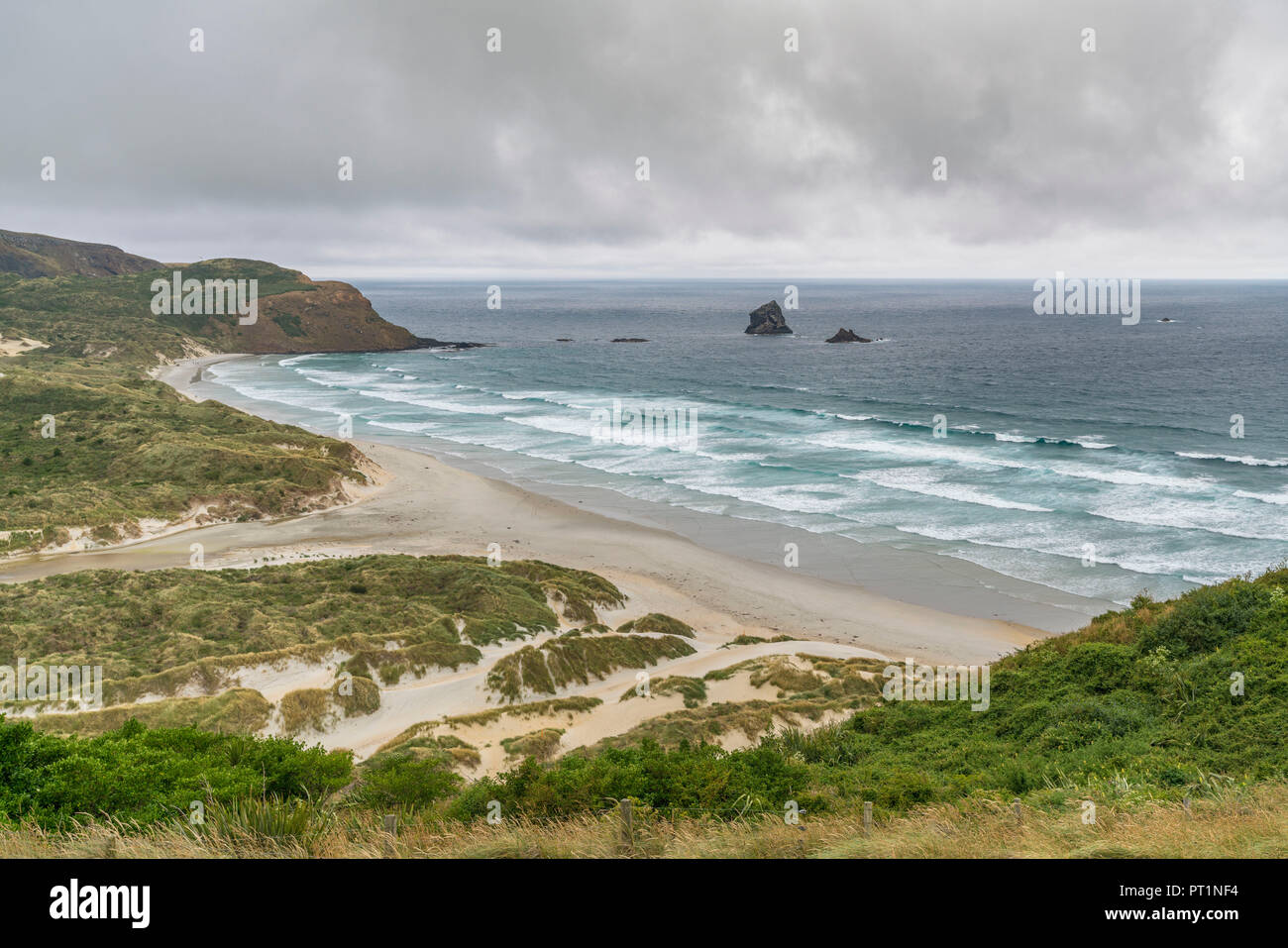 Sandfly Bay an einem bewölkten Sommertag, Dunedin, Otago Region, South Island, Neuseeland, Stockfoto