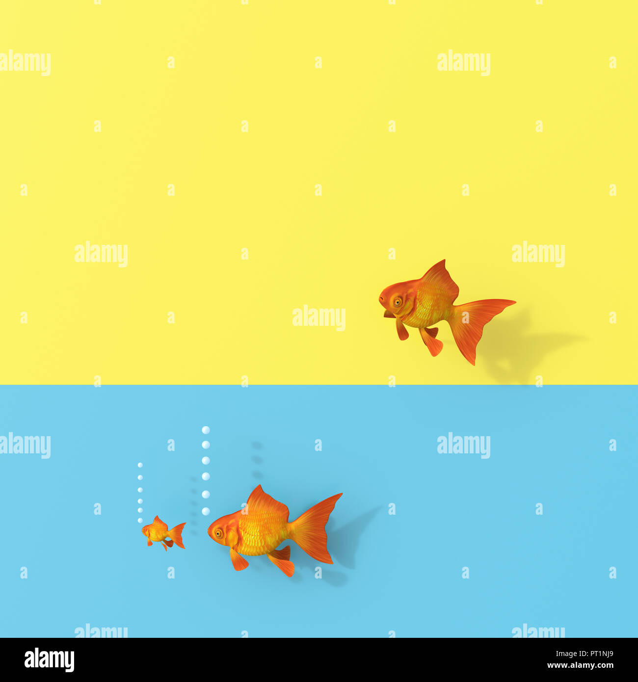 3D-Rendering, Goldfish Gruppe schwimmen im Wasser, einer auf der Flucht Stockfoto