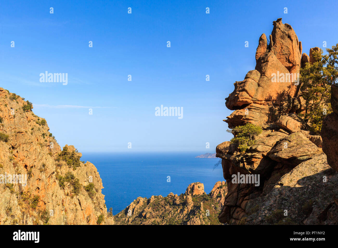 Die roten Felsen von Calanchi di Piana (Les Calanques de Piana), Golf von Porto, Korsika, Frankreich Stockfoto