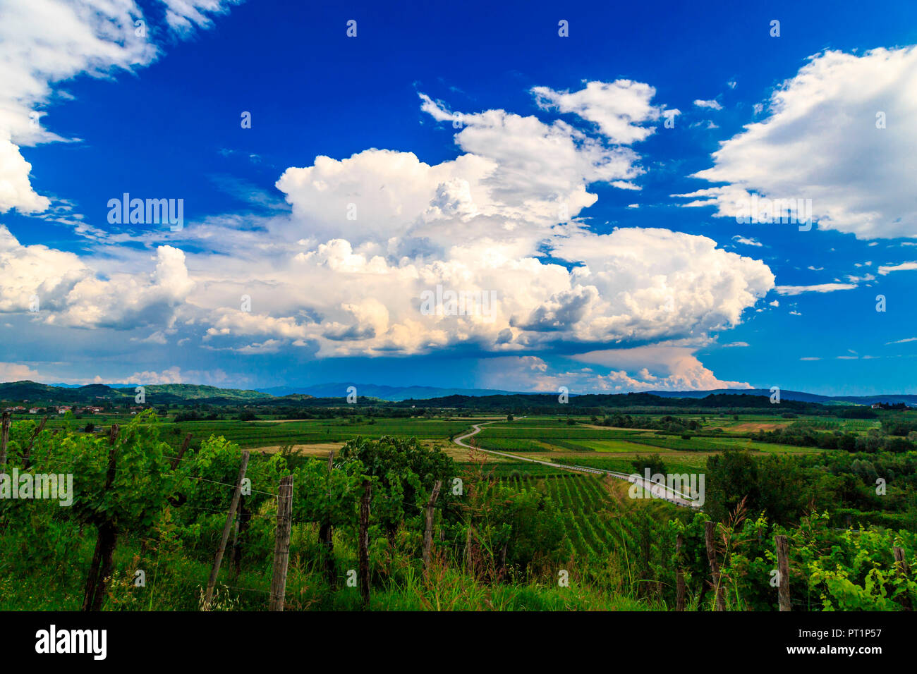 Regen und Sonne in den Weinbergen von Slowenien in der Nähe der italienischen Grenze, neben Friuli Venezia-Giulia region, Brda (Collio Sloveno), Slowenien, Stockfoto