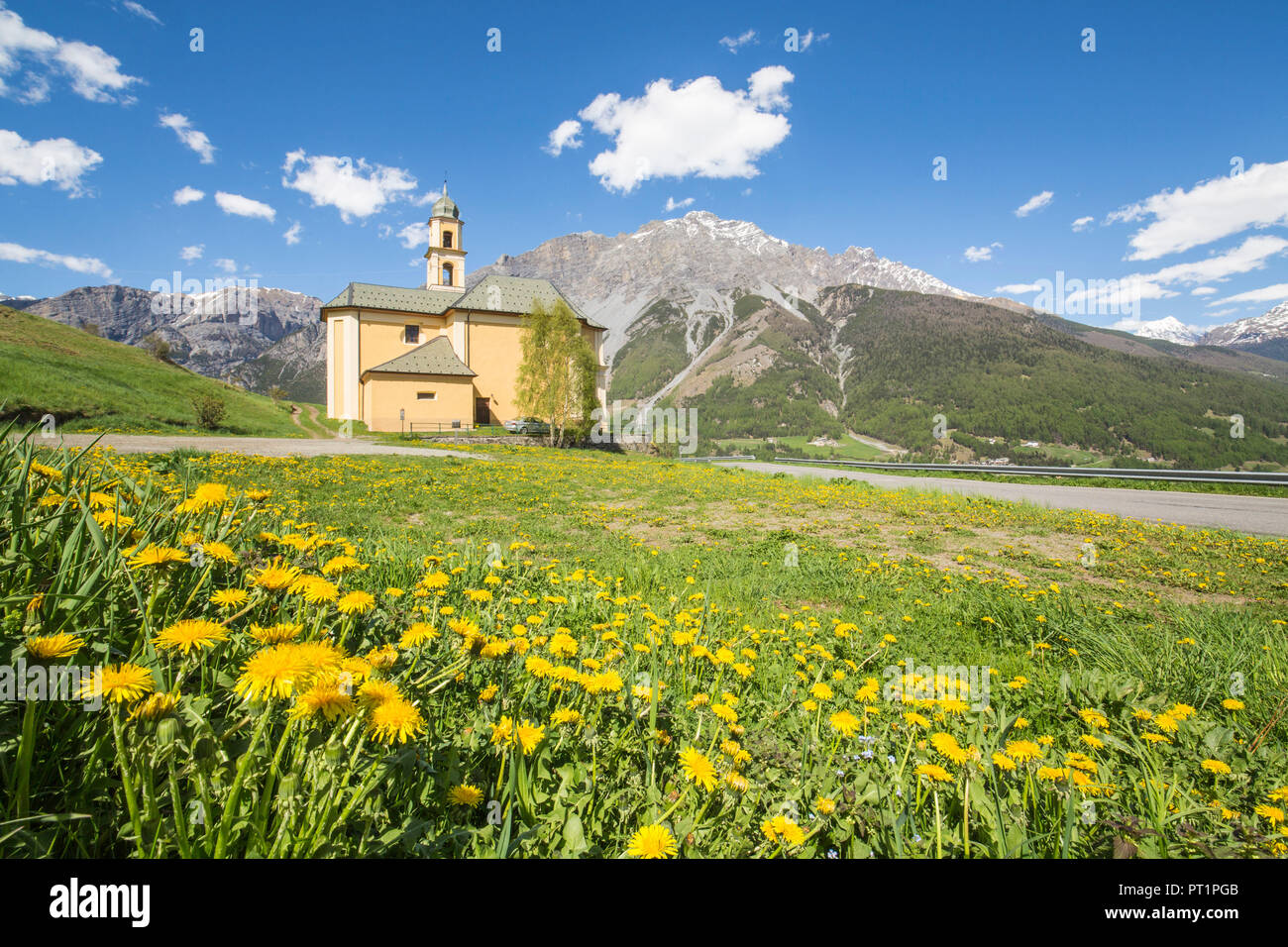Gelbe Blumen und grüne Wiesen Rahmen die Kirche von Oga Bormio Stilfser Joch Nationalpark obere Veltlin Lombardei Italien Stockfoto
