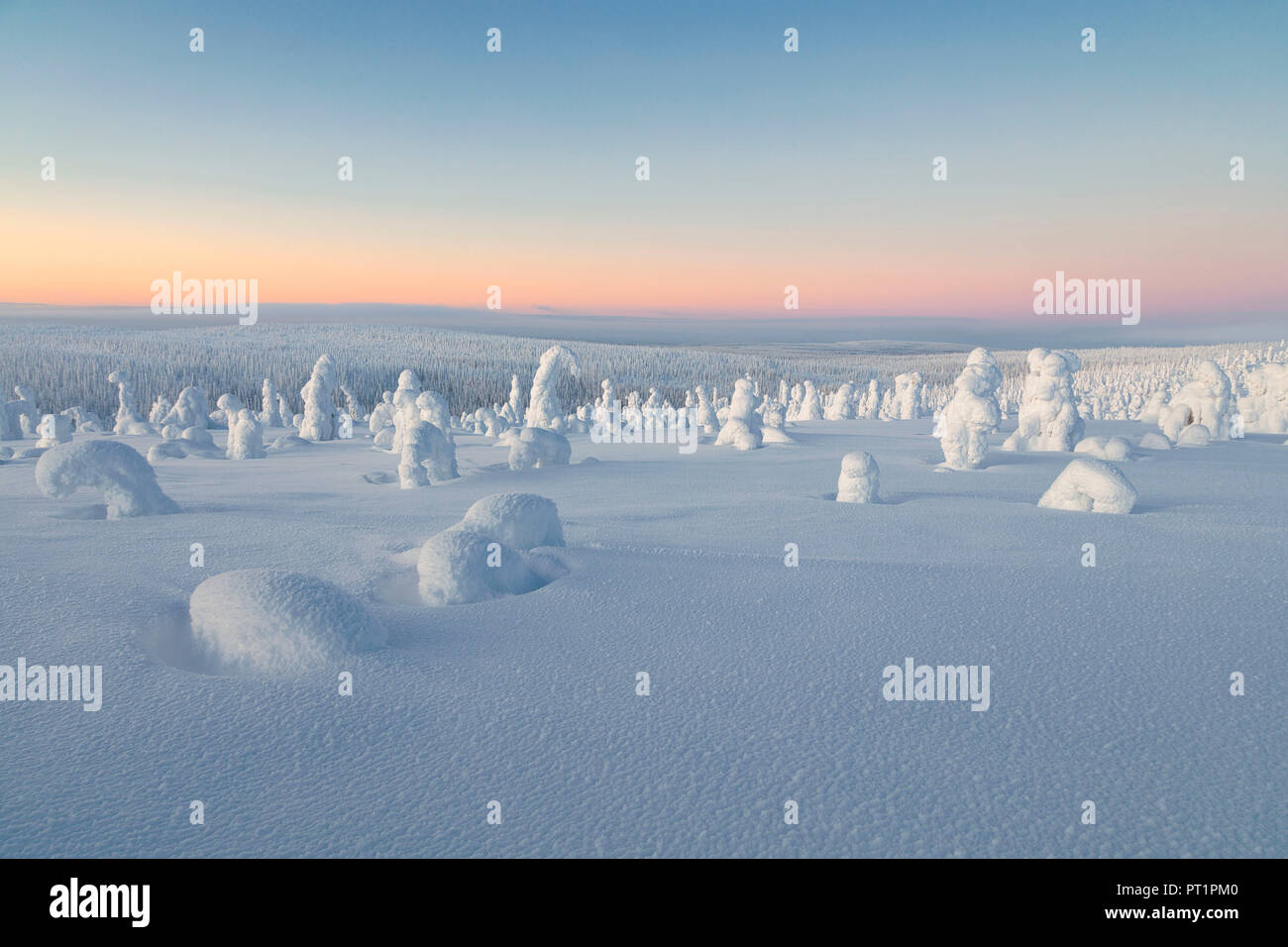 Typische Eisskulpturen in den Wäldern von riisitunturi Nationalpark, posio, Lappland, Finnland, Europa Stockfoto
