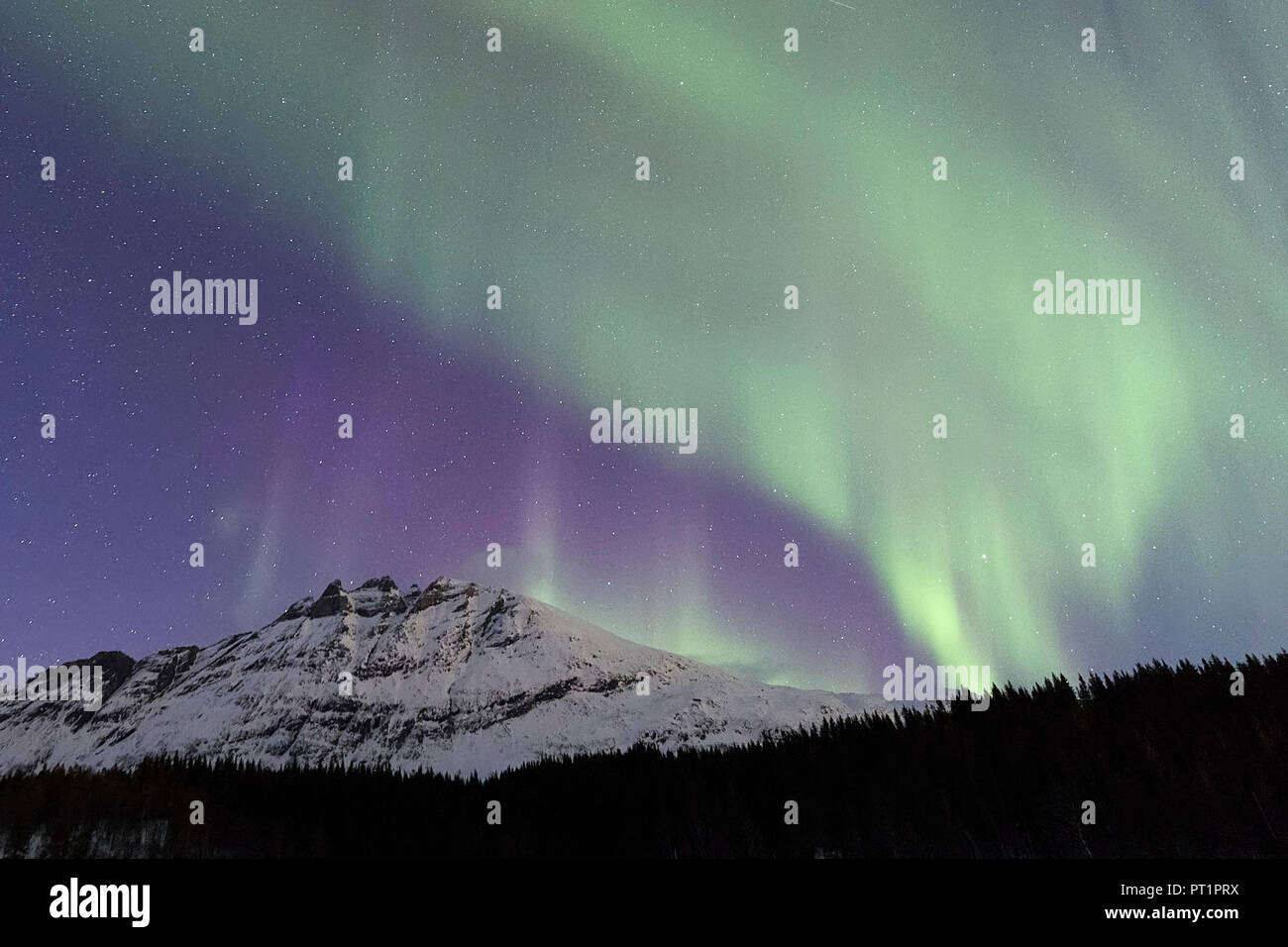 Northern Lights, Skoddebergvatnet, Grovfjord, Troms County, Lofoten, Norwegen Stockfoto