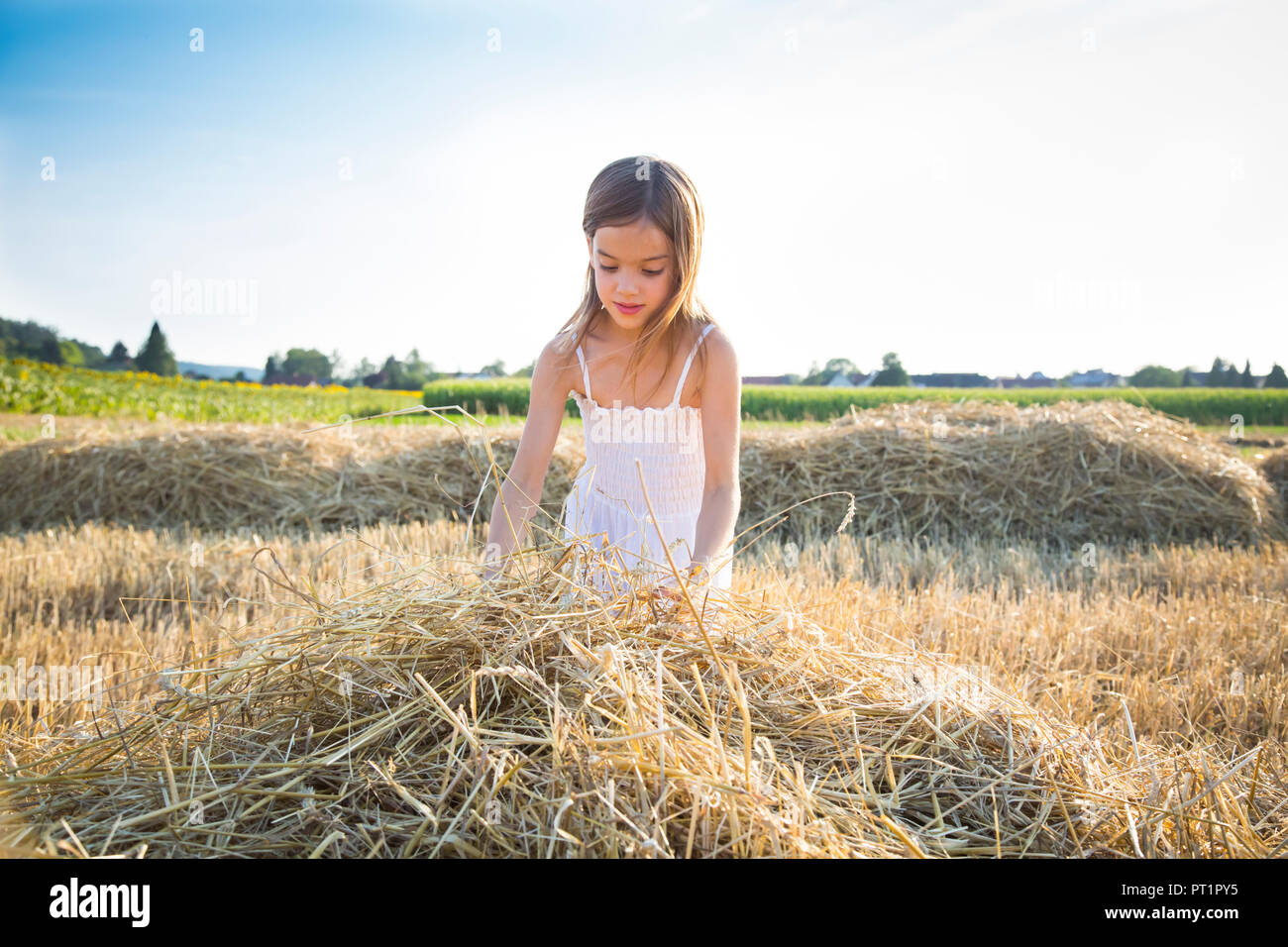 Kleine Mädchen stehen in havested Feld Stockfoto