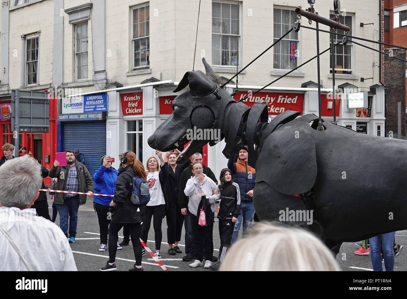 Liverpool, Großbritannien. 5. Oktober 2018. Tag 1 der Royal De Luxe riesigen spektakulären, xolo der Hund unterhält die riesige Menschenmengen, wie er geht durch die Straßen der Stadt. Credit: Ken Biggs/Alamy Leben Nachrichten. Stockfoto