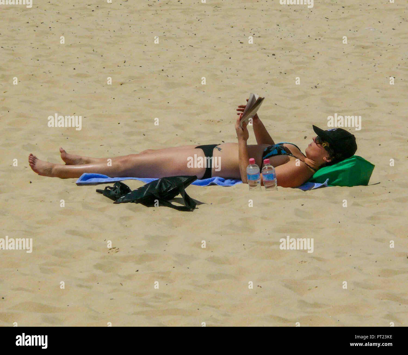 Sydney, New South Wales, Australien. 7. Nov 2008. Sonnenanbeter auf der berühmten weißen Sandstrand von Bondi Beach, in der Nähe von Sydney. Bondi Beach ist einer der berühmtesten Strände Australiens und eine der am meisten besuchten Sehenswürdigkeiten in Australien. Credit: Arnold Drapkin/ZUMA Draht/Alamy leben Nachrichten Stockfoto