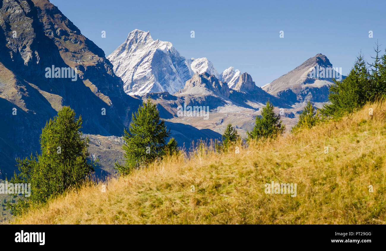 Dent d'Herens von der Weide von Ayas Tal, Aostatal, Walliser Alpen, Alpen, Italien gesehen Stockfoto