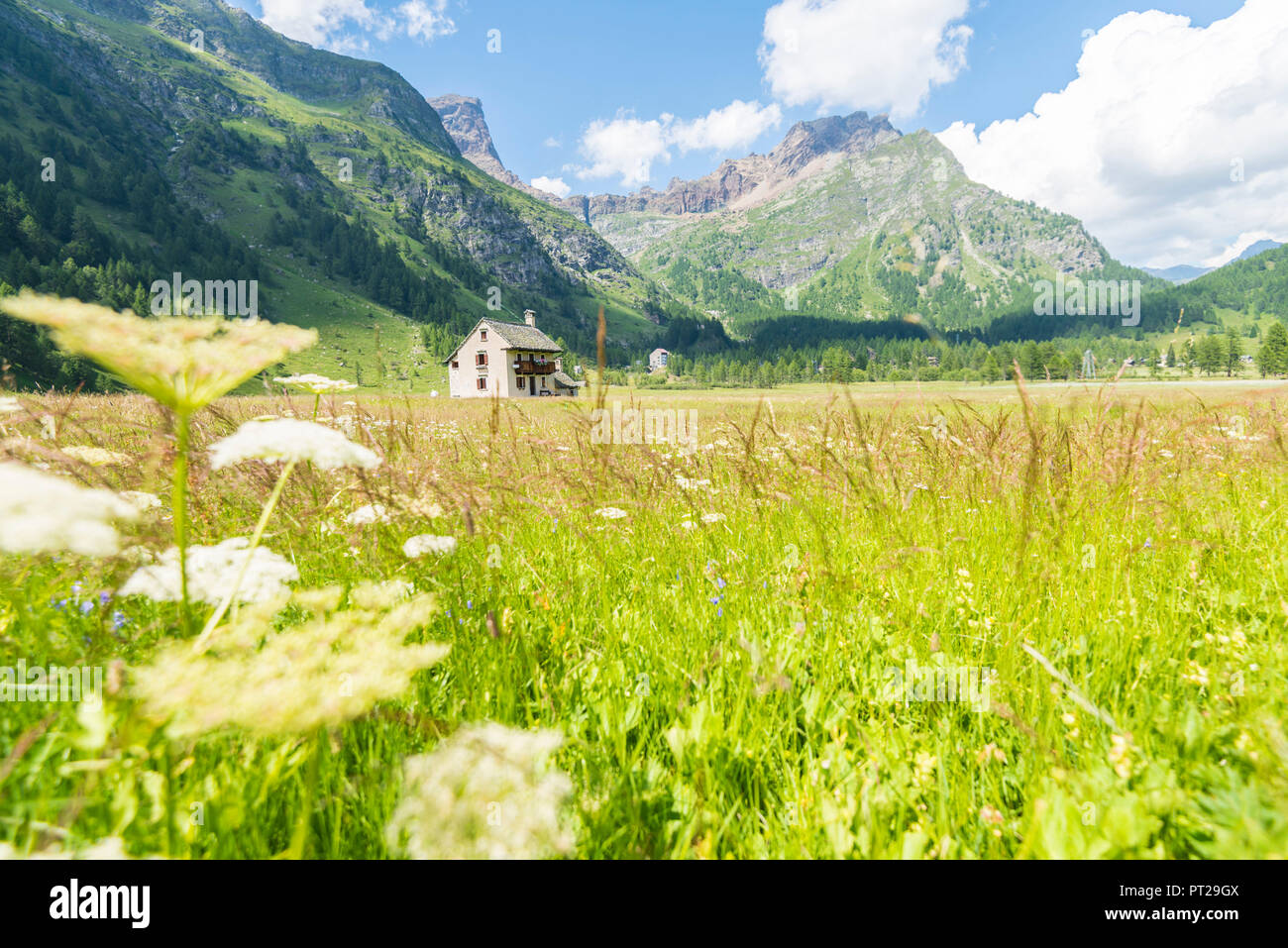 Einsame Ferienhaus in Piedimonte, Alpe Devero, Ossola, Piemont, Alpen, Italien Stockfoto