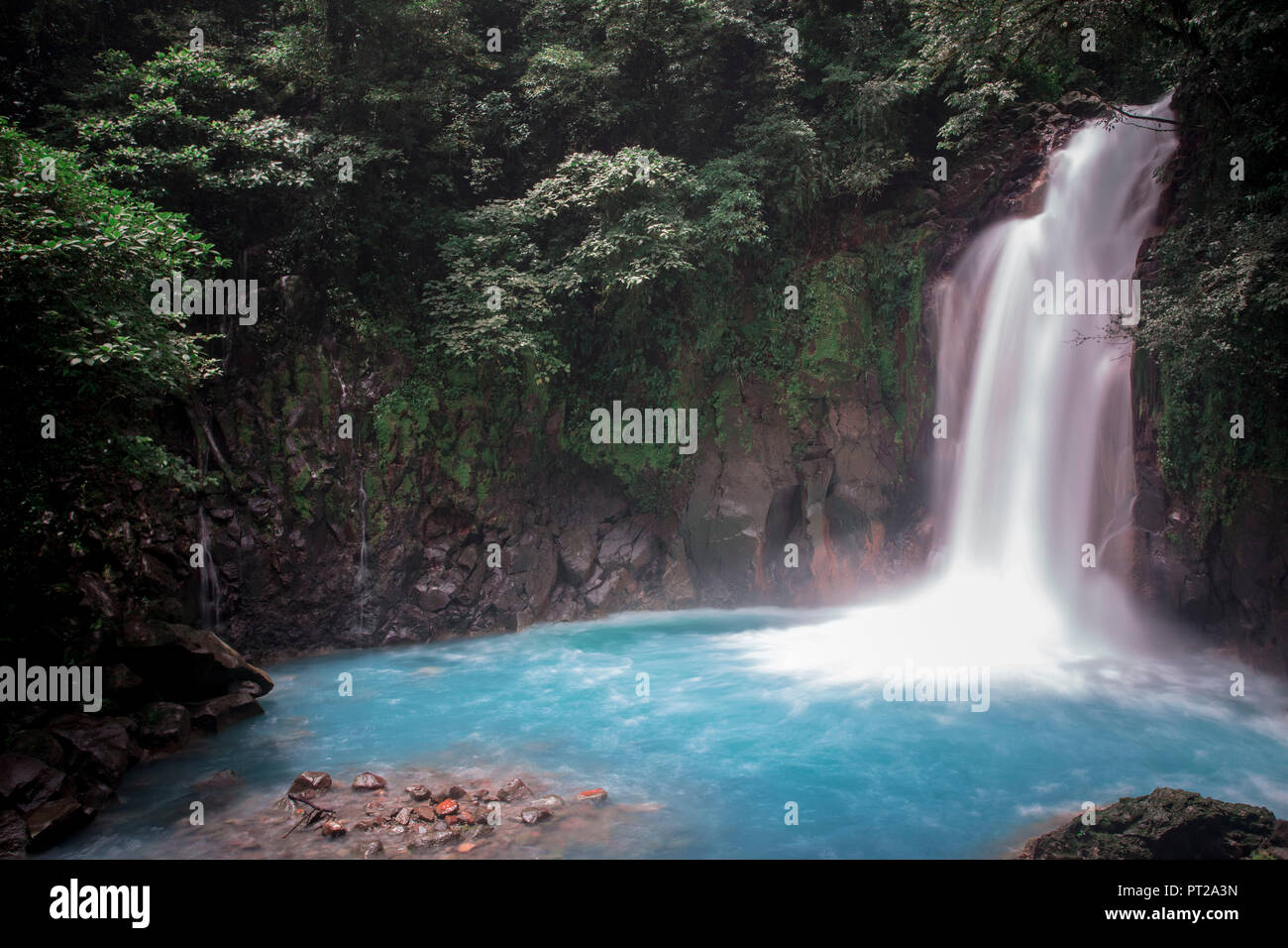 Catarata del Rio Celeste, Tenorio Nationalpark, Costa Rica, Mittelamerika Stockfoto