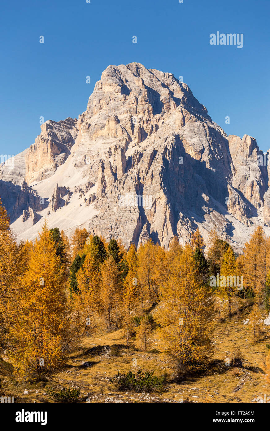 Mount Tofana di Mezzo, Falzarego Pass, Belluno, Venetien, Italien Stockfoto