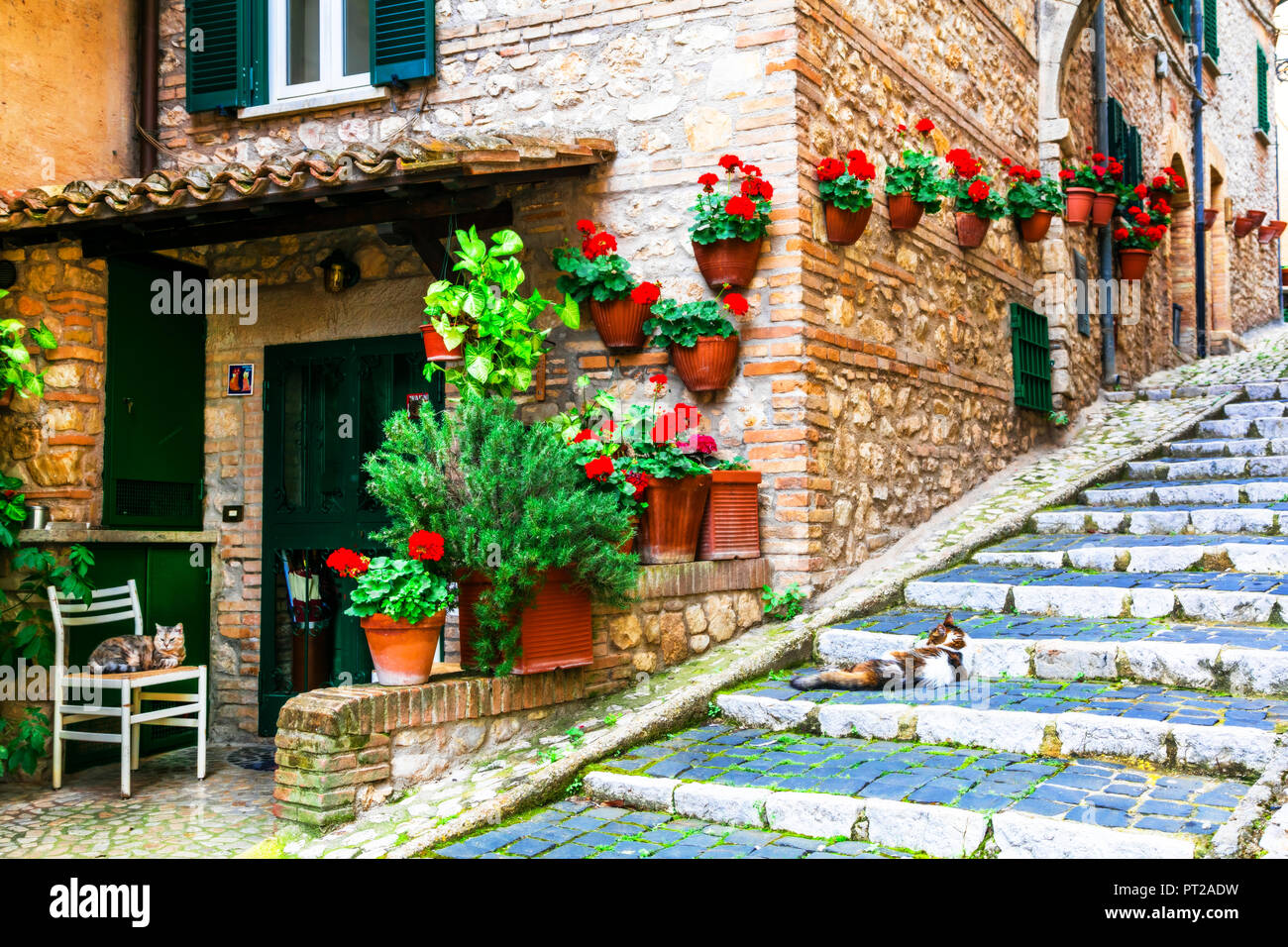 Alten Straßen mit Blumenschmuck in Casperia Dorf, Latium, Italien. Stockfoto