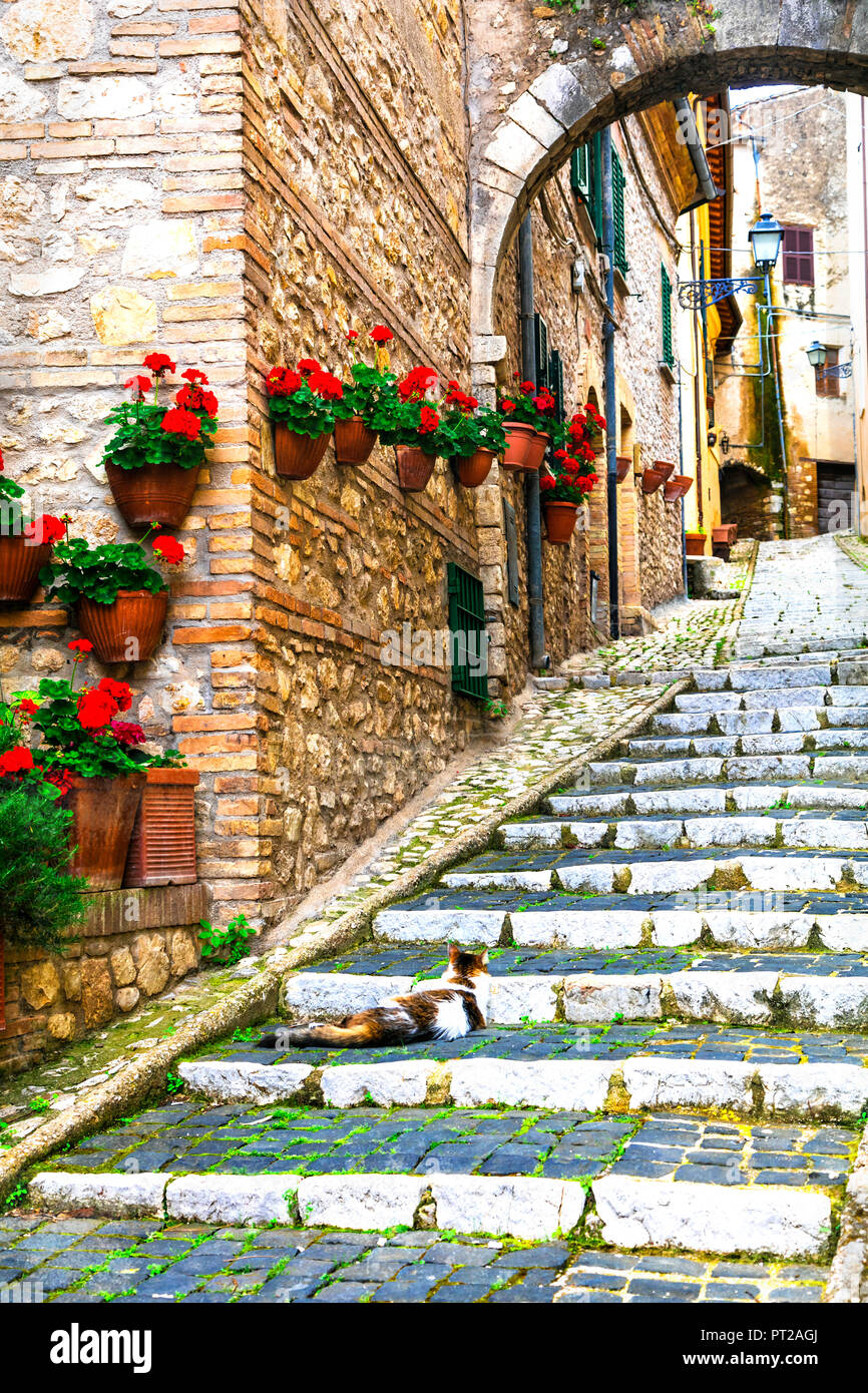 Alten Straßen mit Blumenschmuck in Casperia Dorf, Latium, Italien. Stockfoto