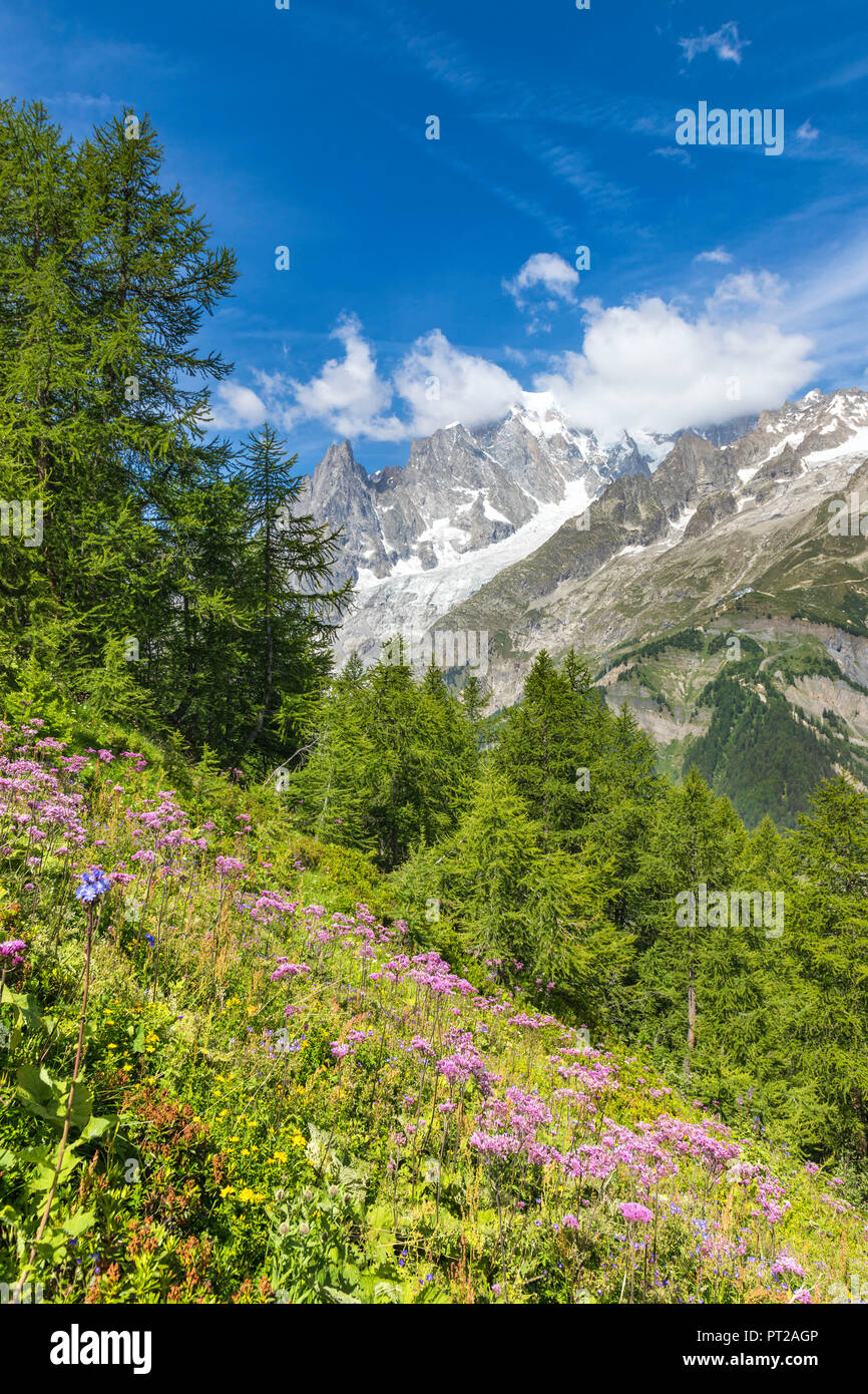 Ein Blick auf das Mont Blanc Massiv von den Pfad zu den Bertone Zuflucht während des Mont Blanc Wanderungen (Frettchen Tal, Courmayeur, Provinz Aosta, Aostatal, Italien, Europa) Stockfoto