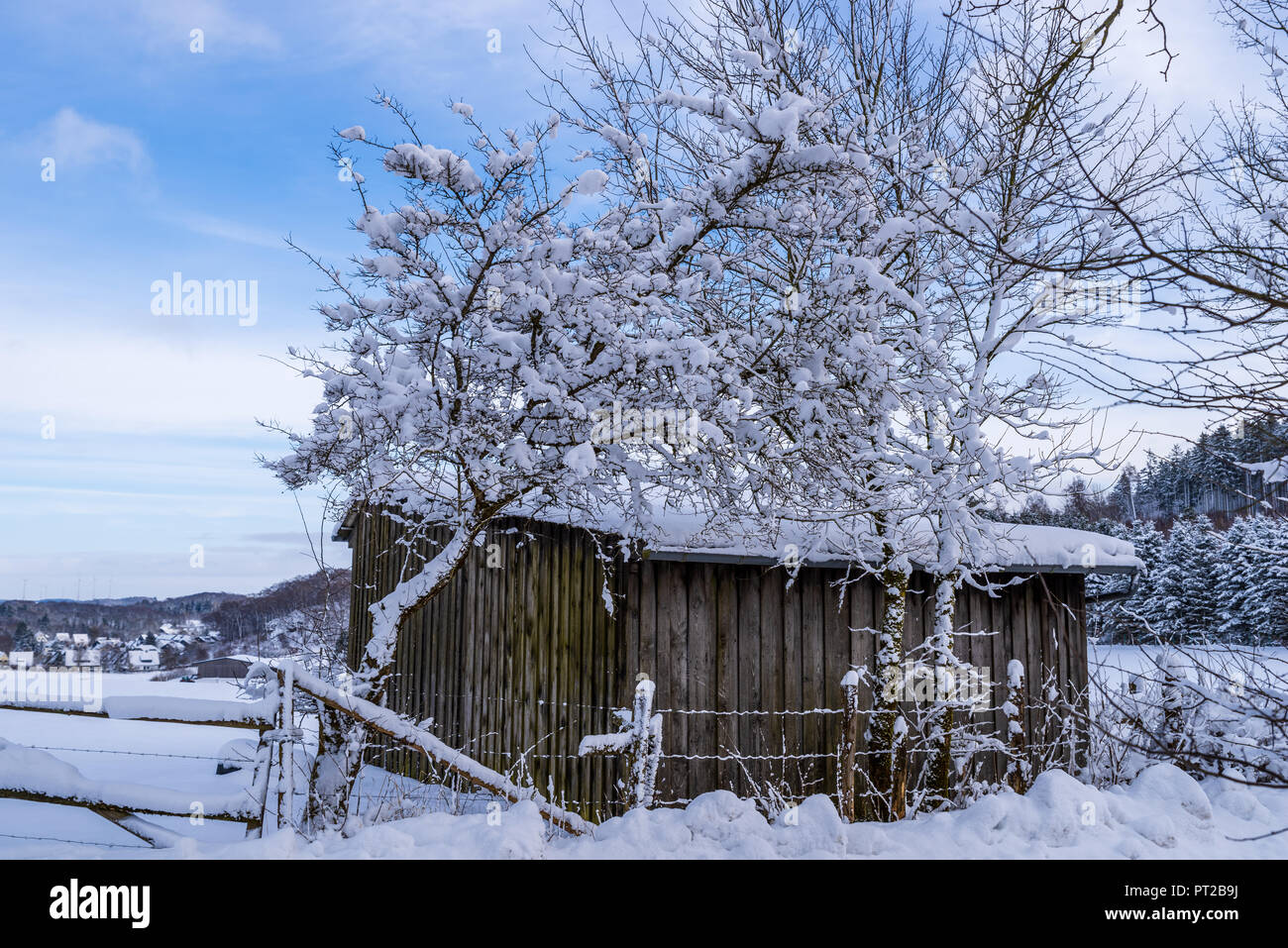 Alte hölzerne Scheune in einer Winterlandschaft, Brilon, Deutschland Stockfoto