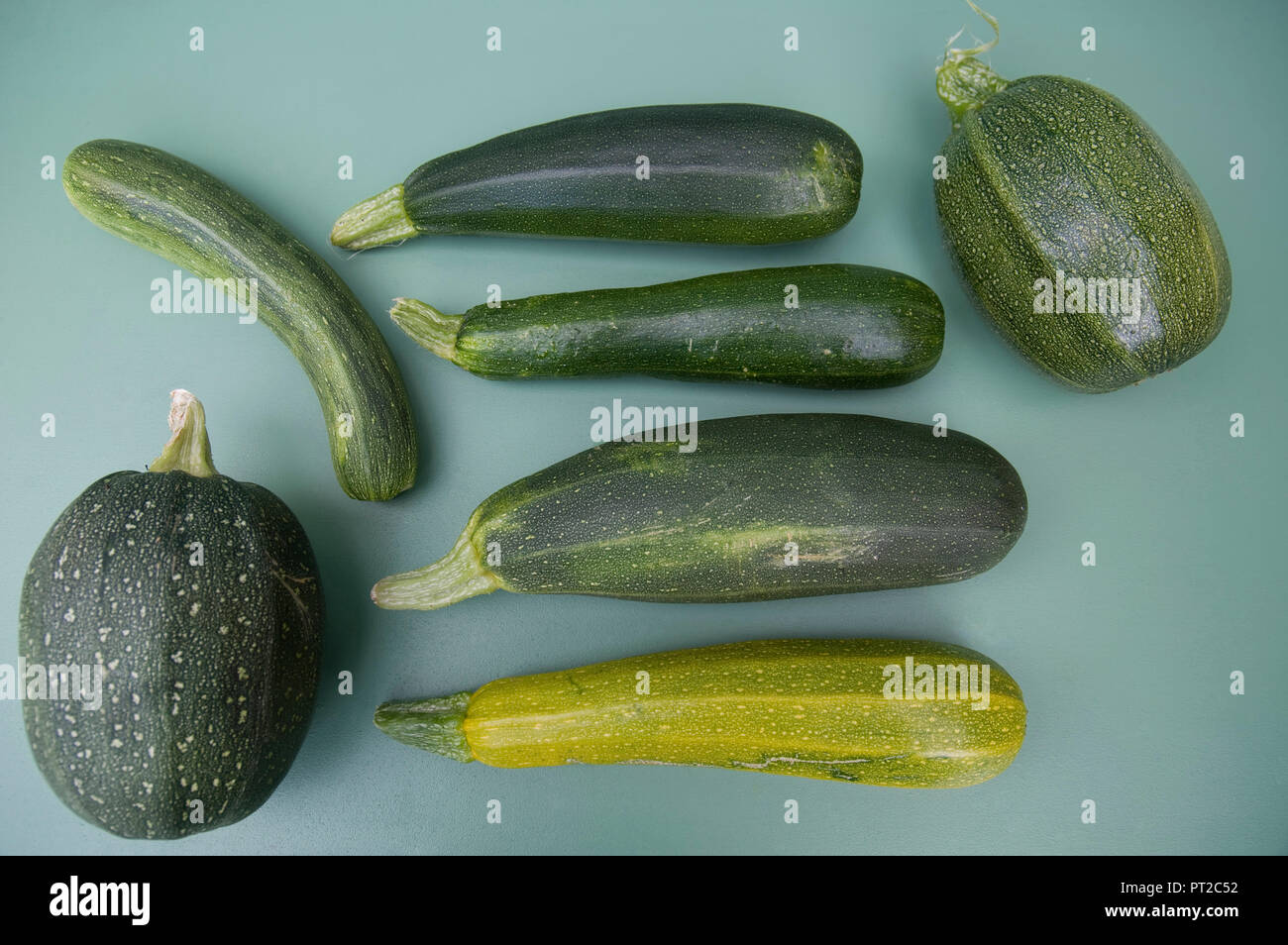 Eight Ball Kürbisse und Zucchini Stockfoto