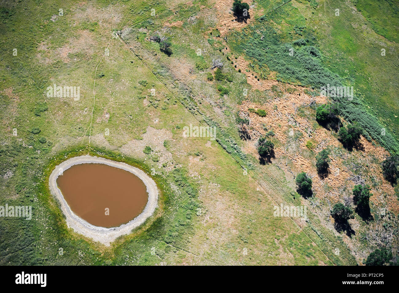 USA, Antenne von Teich für Rinder Bewässerung im östlichen Colorado Stockfoto