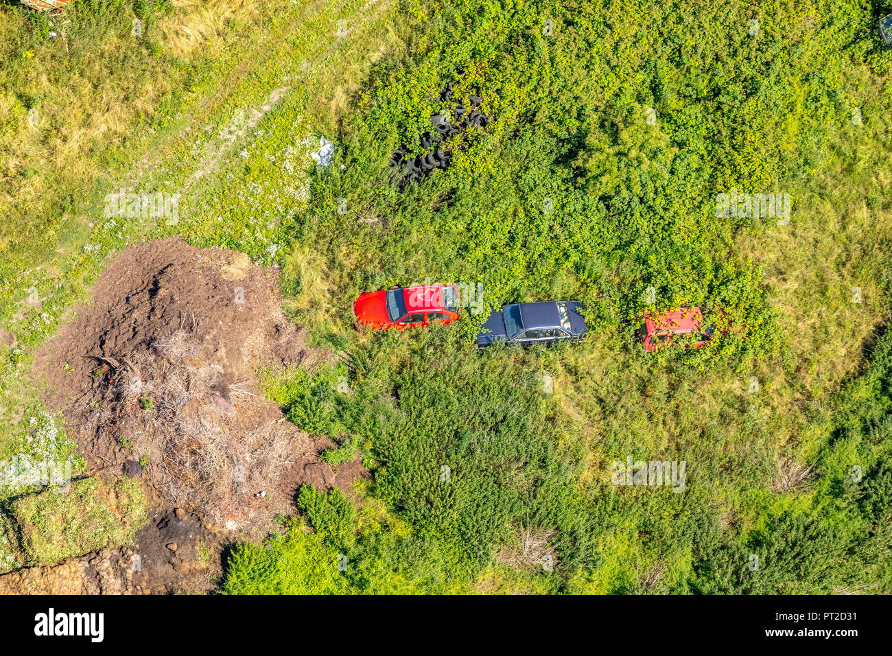 Wilden alten Auto dump in Esborn, überwucherten Schrott Autos in der Natur, Wetter (Ruhr), Ruhrgebiet, Nordrhein-Westfalen, Deutschland Stockfoto