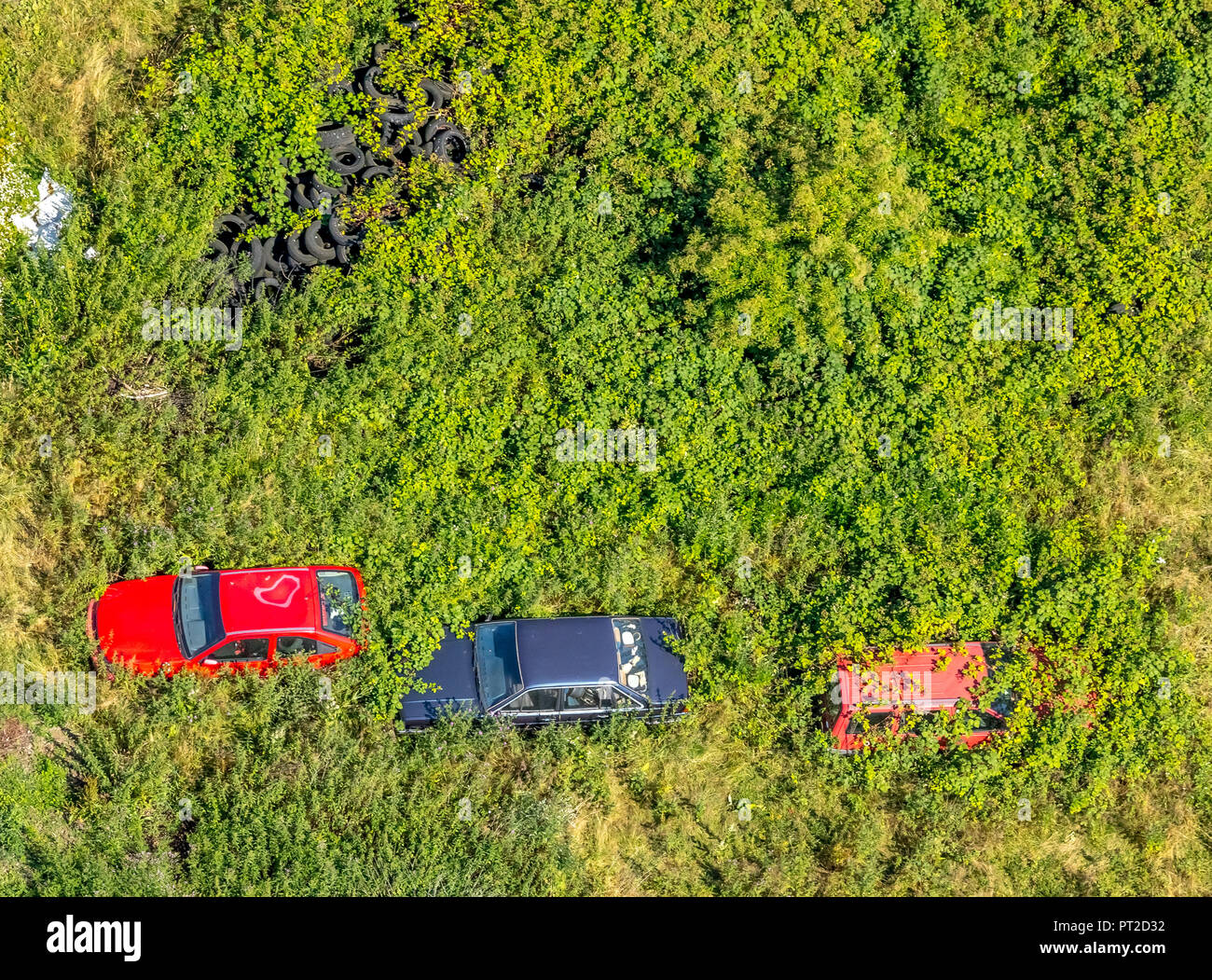 Wilden alten Auto dump in Esborn, überwucherten Schrott Autos in der Natur, Wetter (Ruhr), Ruhrgebiet, Nordrhein-Westfalen, Deutschland Stockfoto