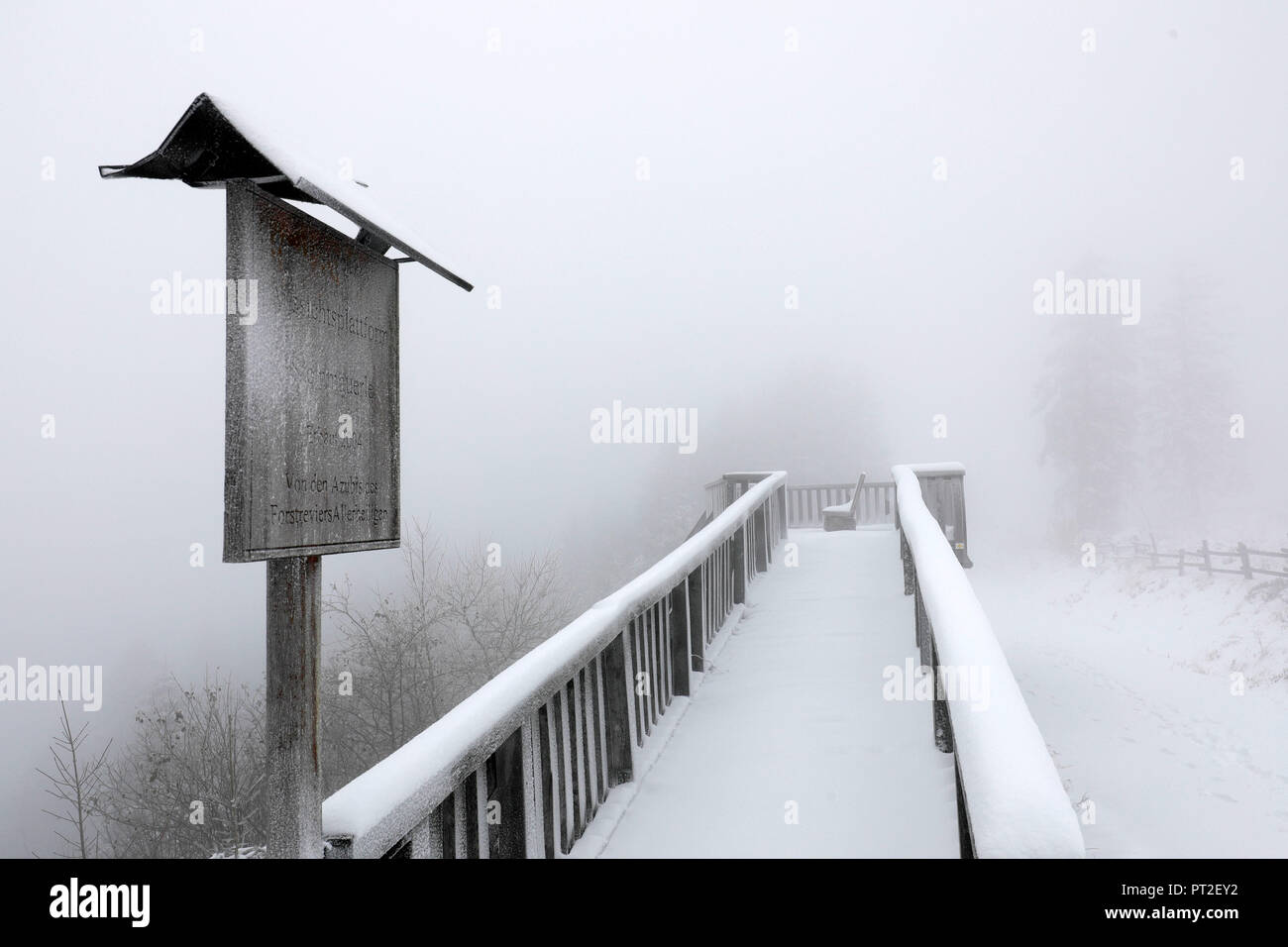 Verschneite Landschaft am Schliffkopf, Black Forest National Park, Nördlicher Schwarzwald, Schwarzwald High Road, Baden-Württemberg, Deutschland Stockfoto