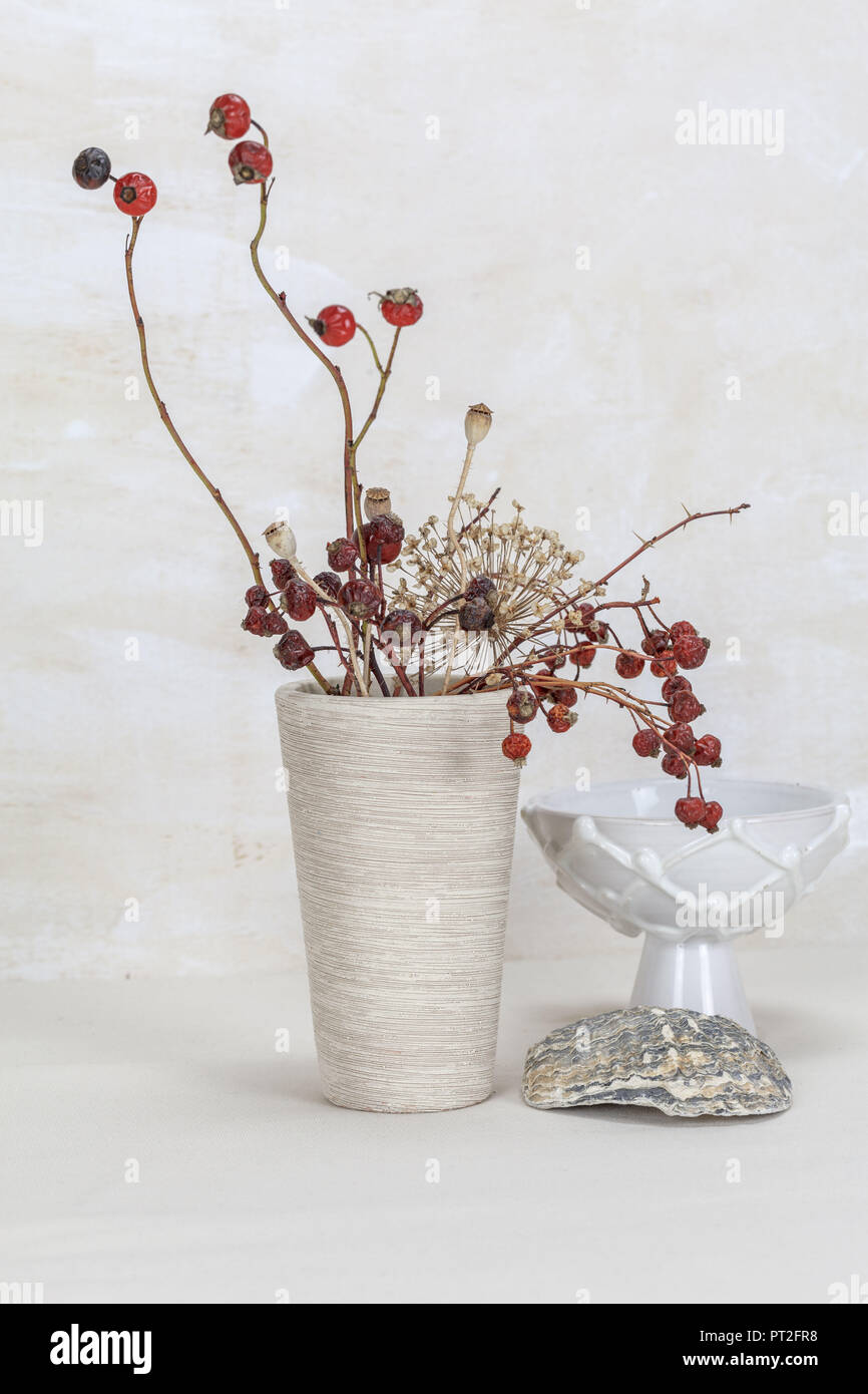 Vase mit Hagebutten Zweige, Herbst Dekoration Stockfotografie - Alamy