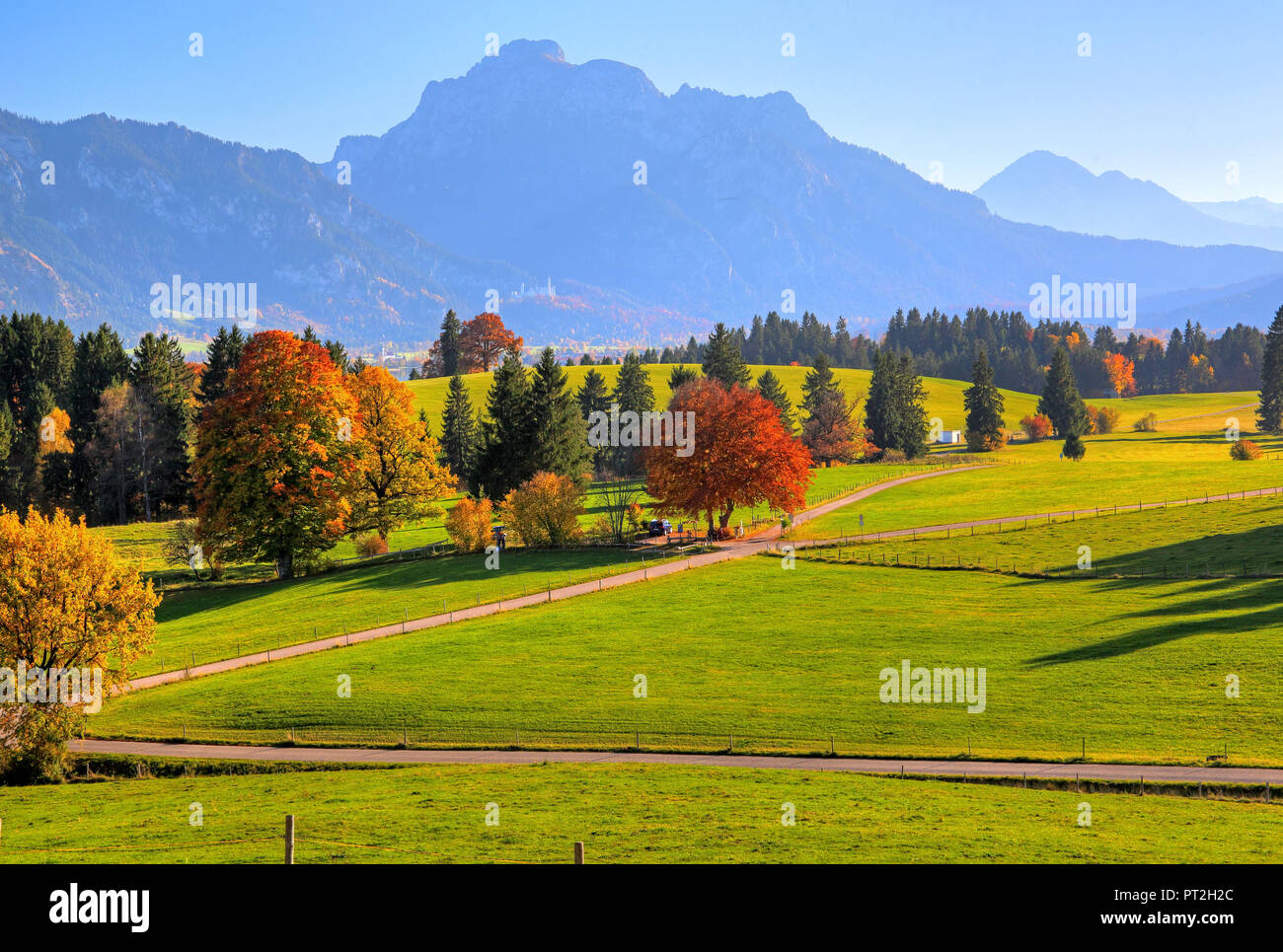 Pre-alpine Landschaft bei Roßhaupten gegen den Säuling 2047 m, Ammergauer Alpen, Ostallgäu, Bayern, Deutschland Stockfoto