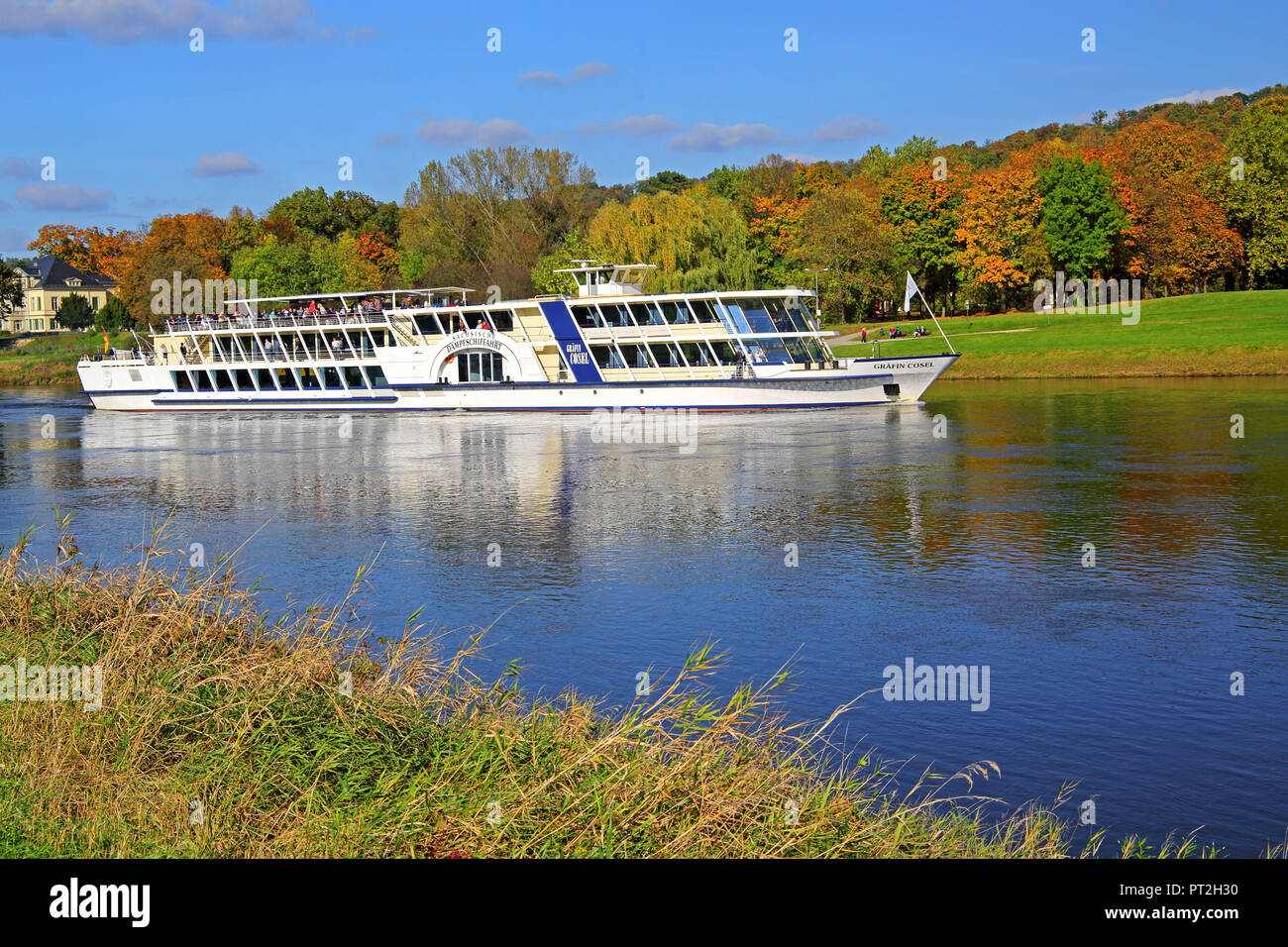 Ausflugsschiff auf der Elbe in der Nähe von Schloss Pillnitz, Dresden, Sachsen, Deutschland Stockfoto